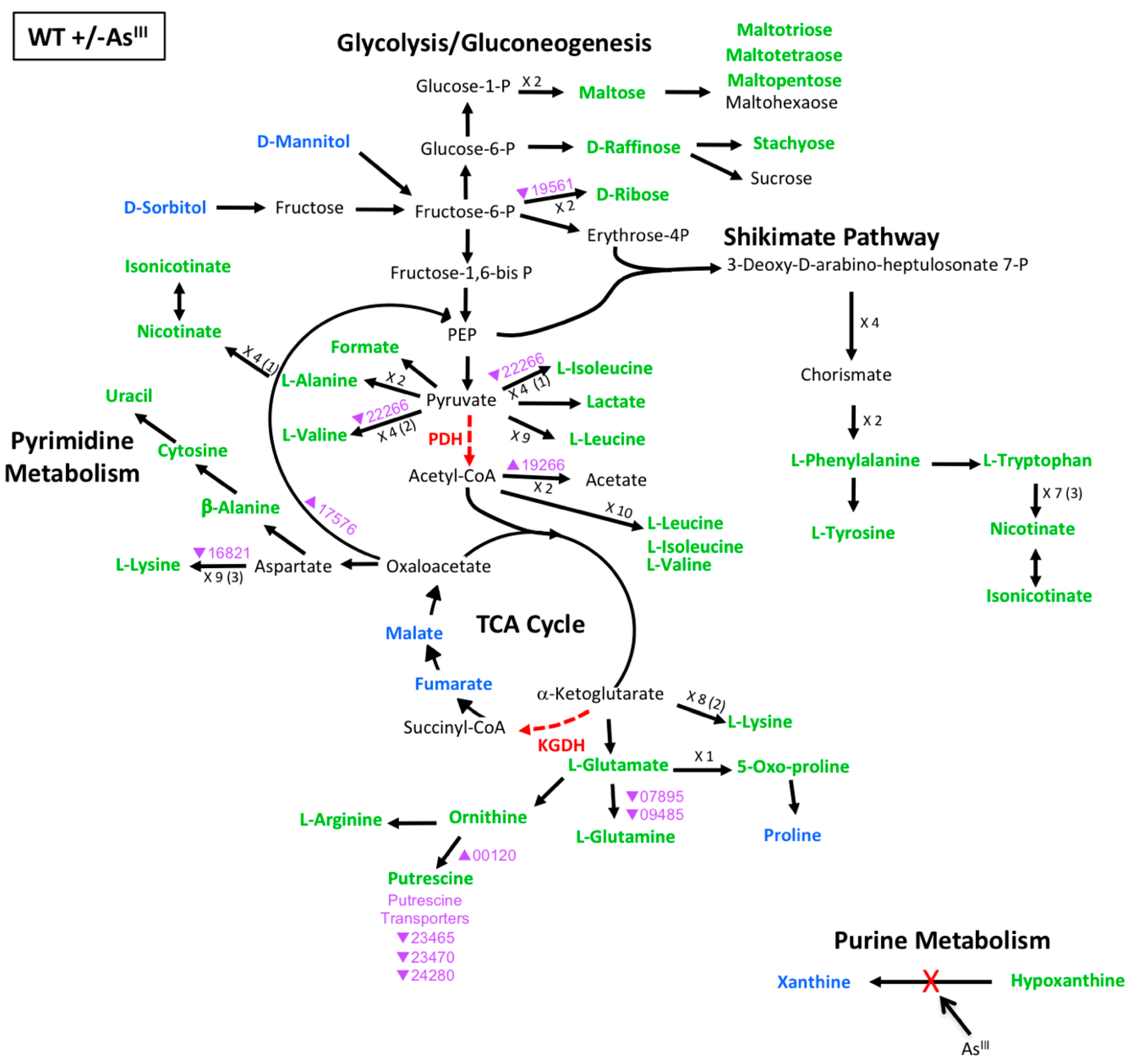 Microorganisms 08 01339 g003 Microorganisms 08 01339 g003
