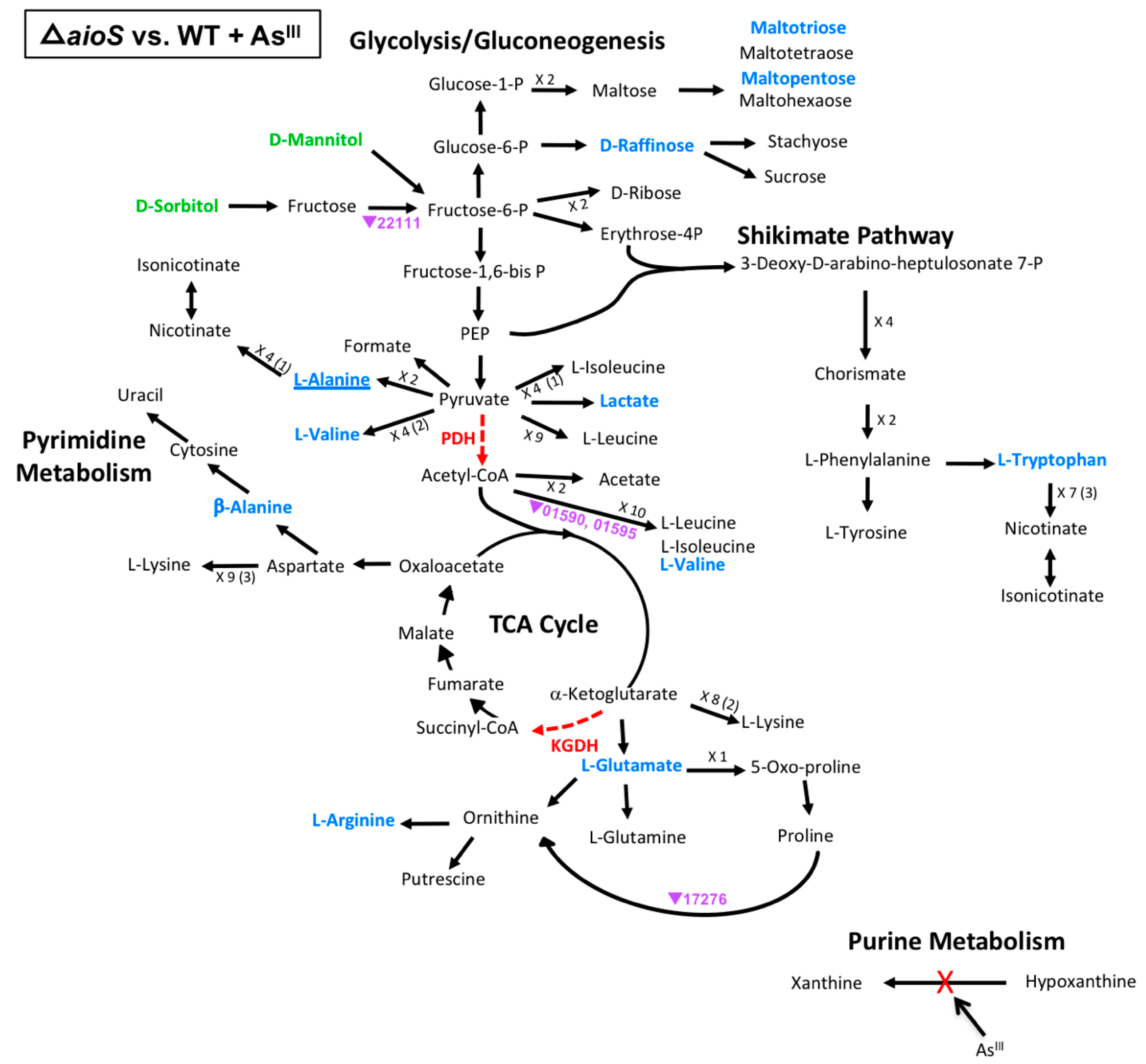 Microorganisms 08 01339 g004 Microorganisms 08 01339 g004