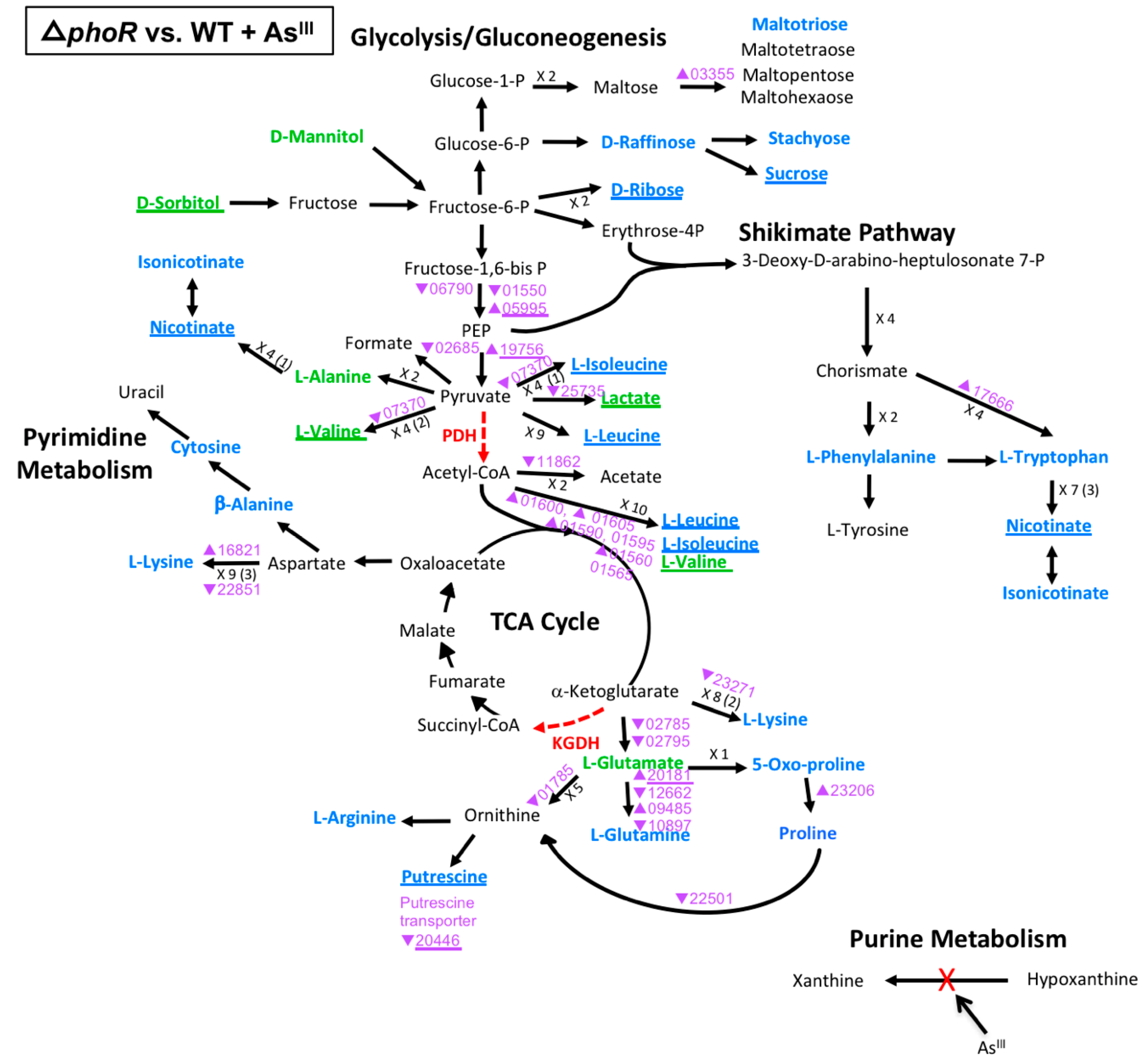 Microorganisms 08 01339 g005 Microorganisms 08 01339 g005