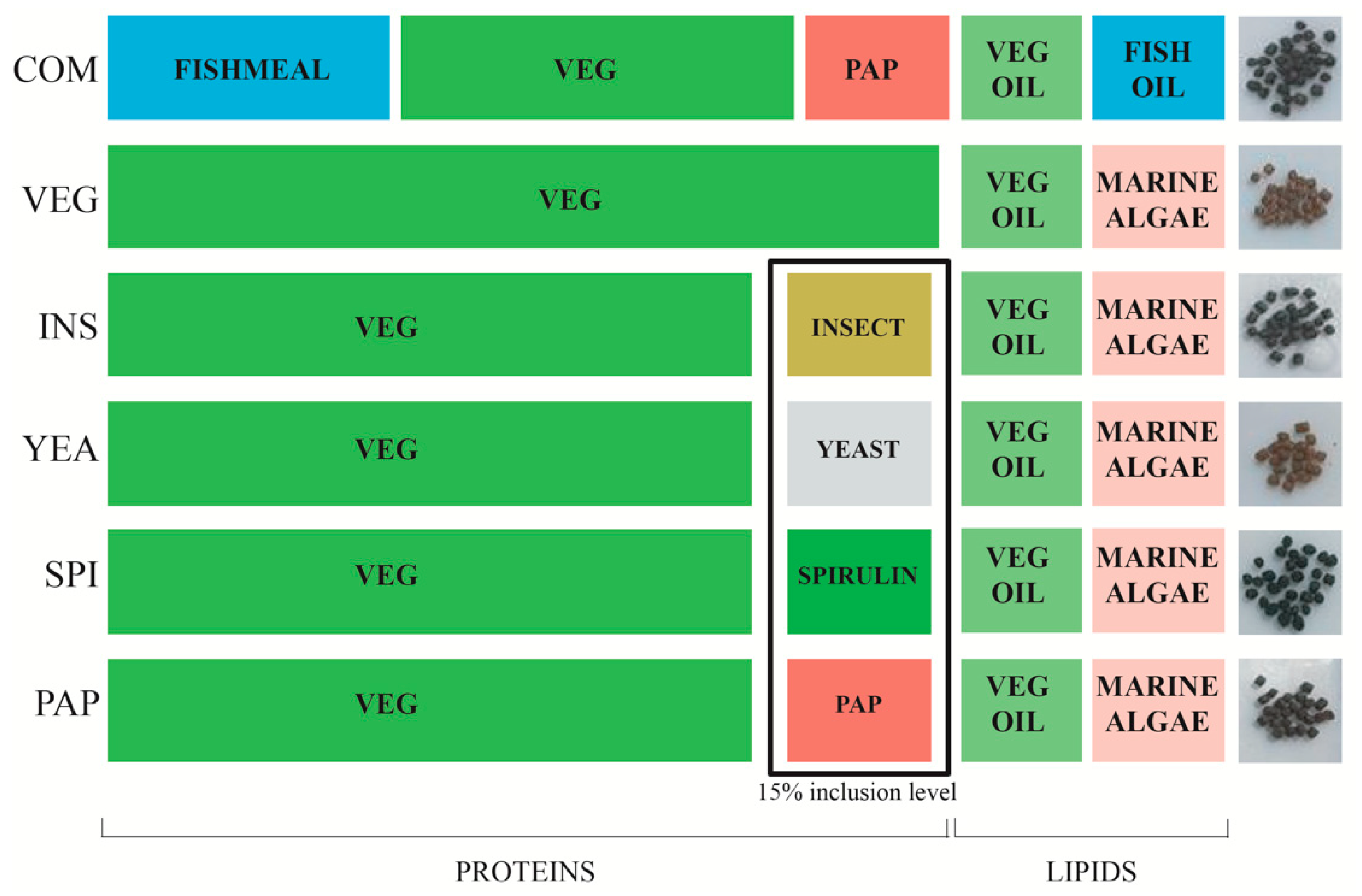 Microorganisms 08 01346 g001