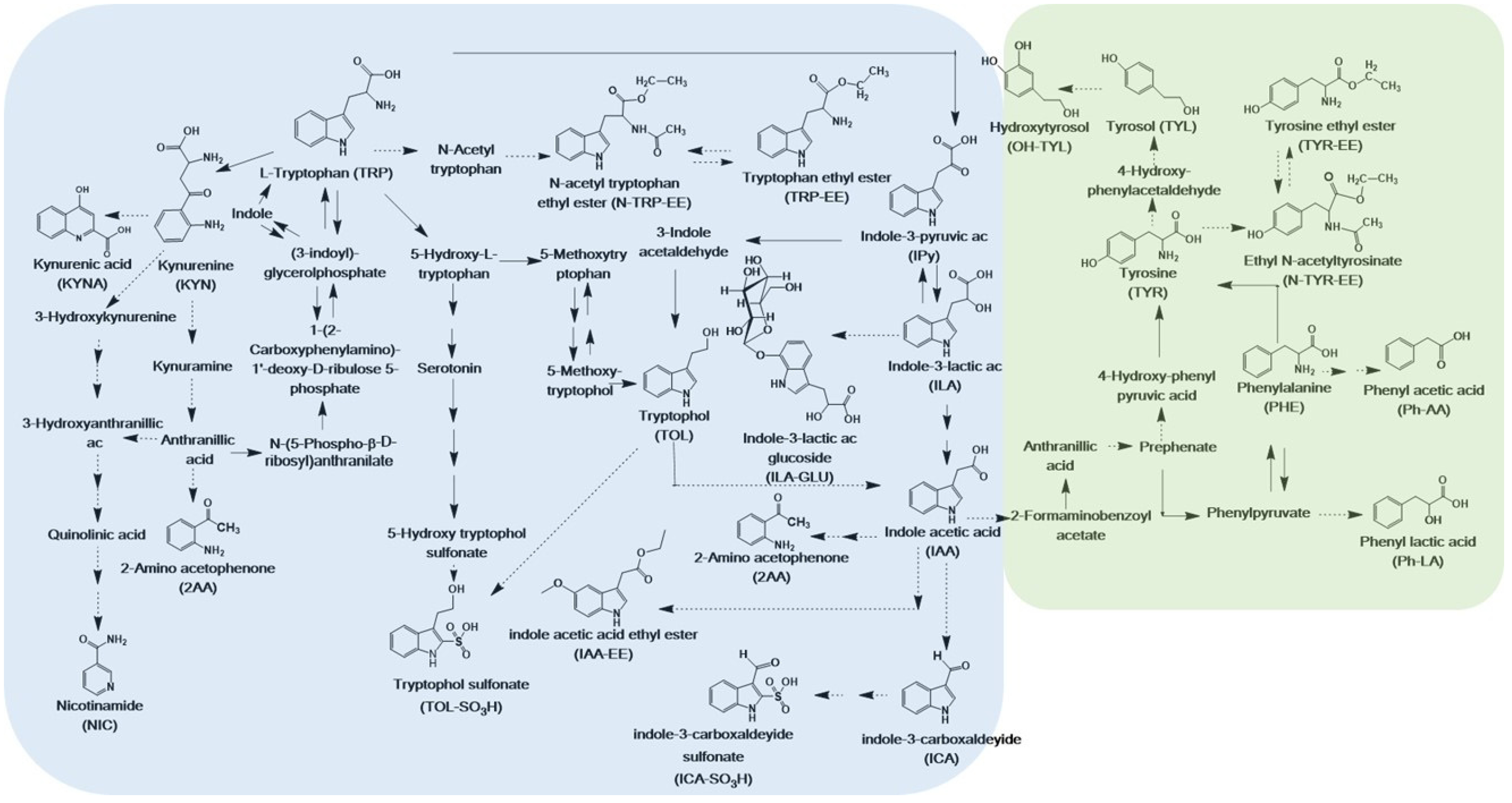 Microorganisms 08 01349 g001