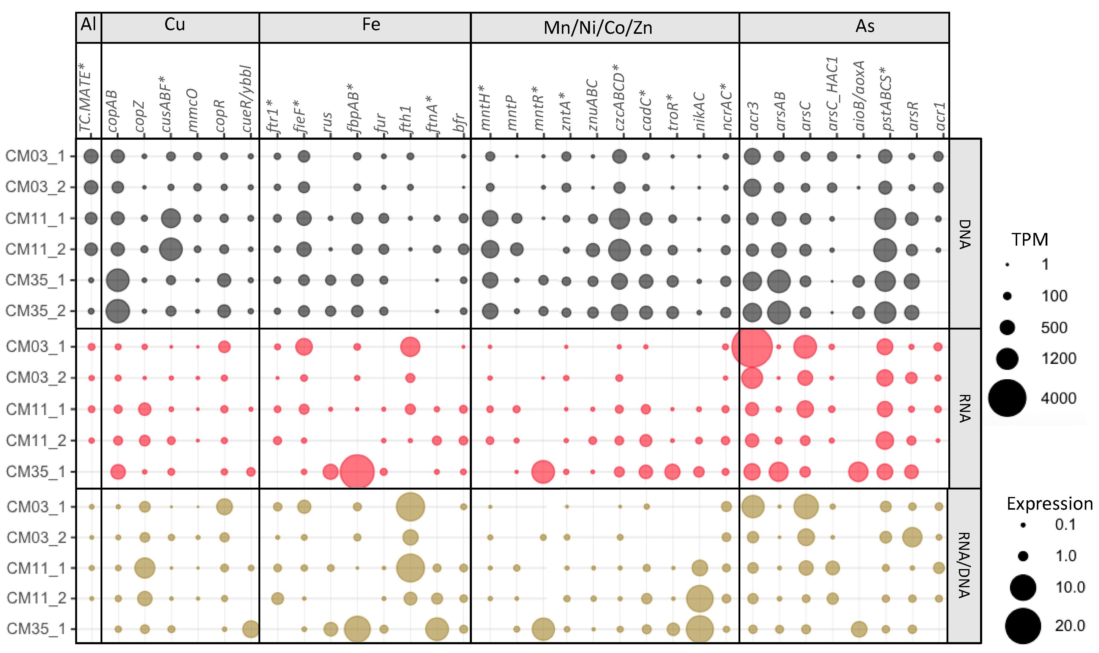 Microorganisms 08 01350 g003 Microorganisms 08 01350 g003