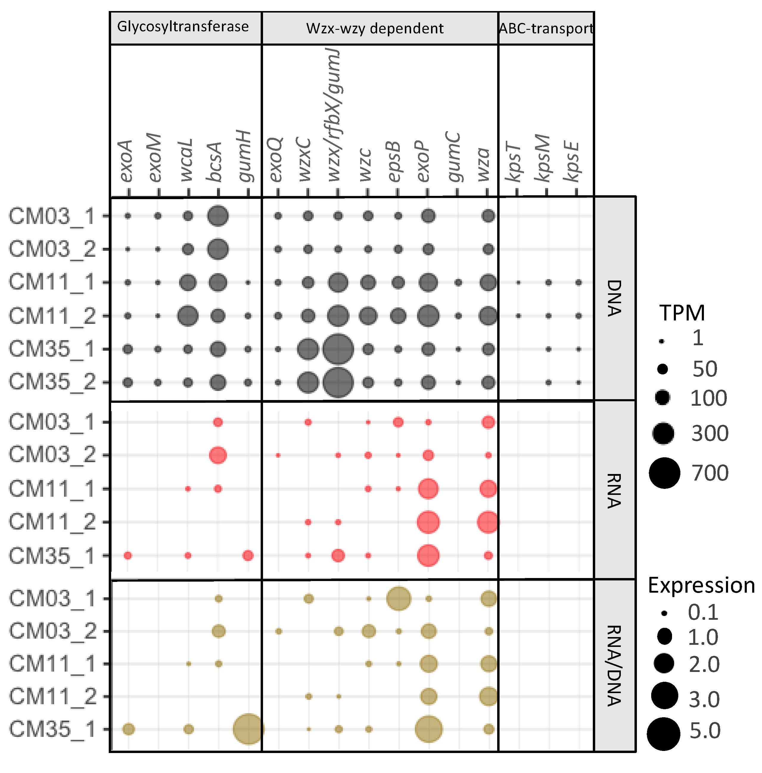 Microorganisms 08 01350 g004 Microorganisms 08 01350 g004