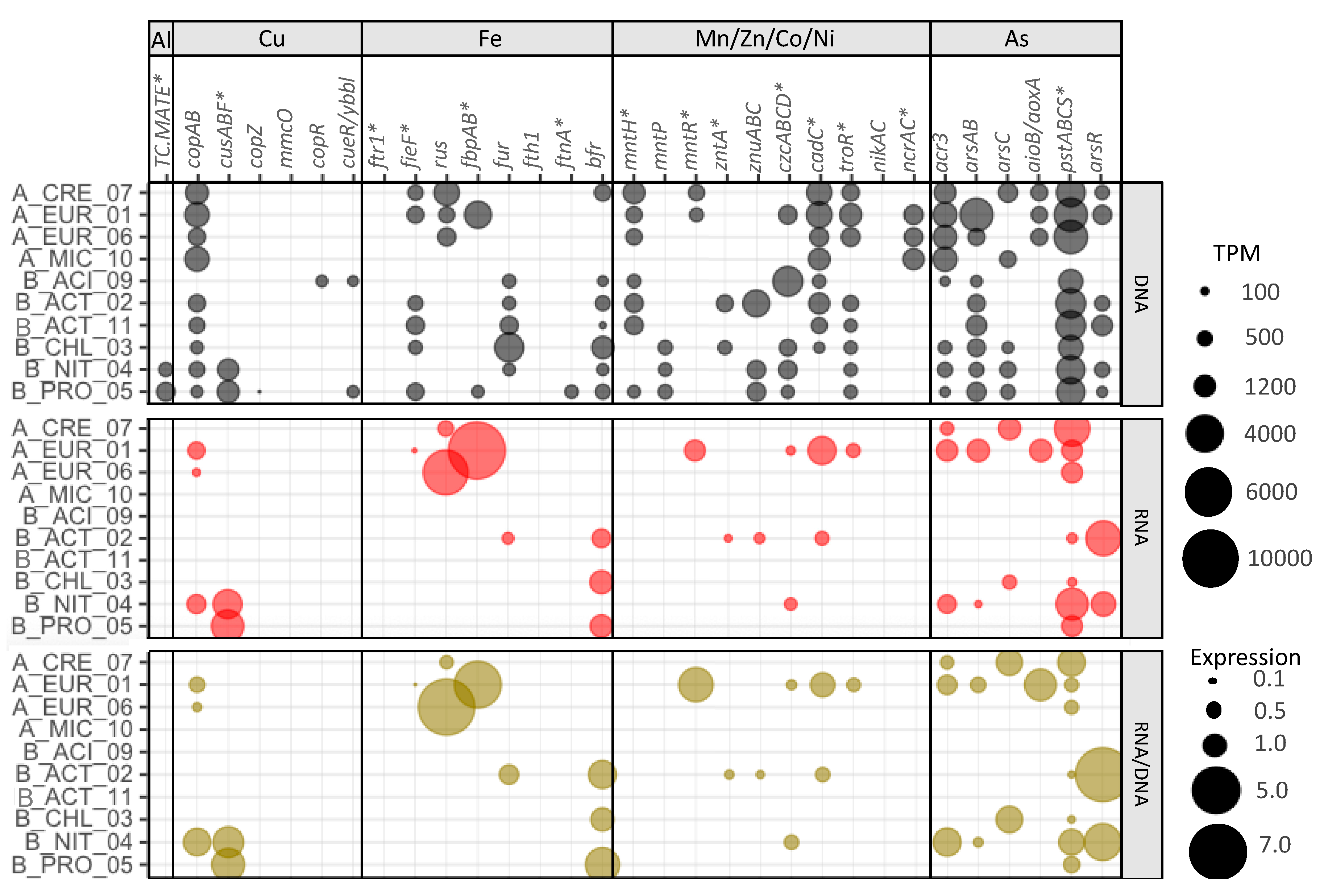 Microorganisms 08 01350 g005 Microorganisms 08 01350 g005
