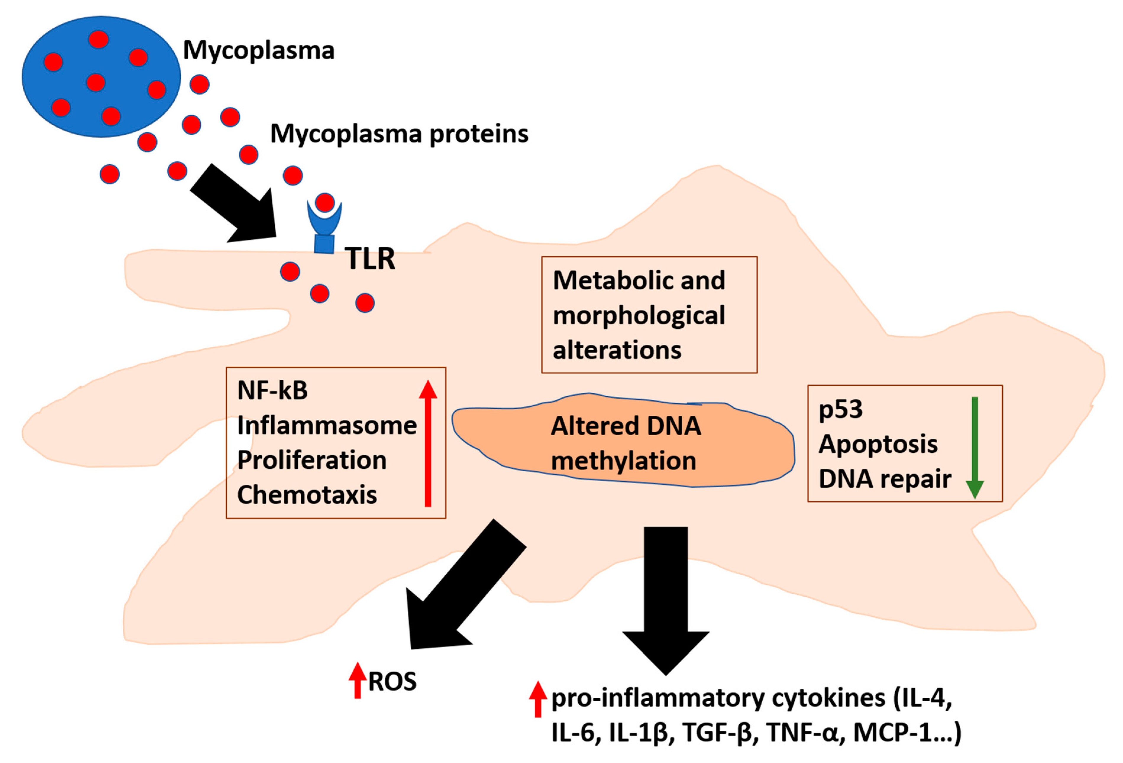 Microorganisms 08 01351 g001 Microorganisms 08 01351 g001