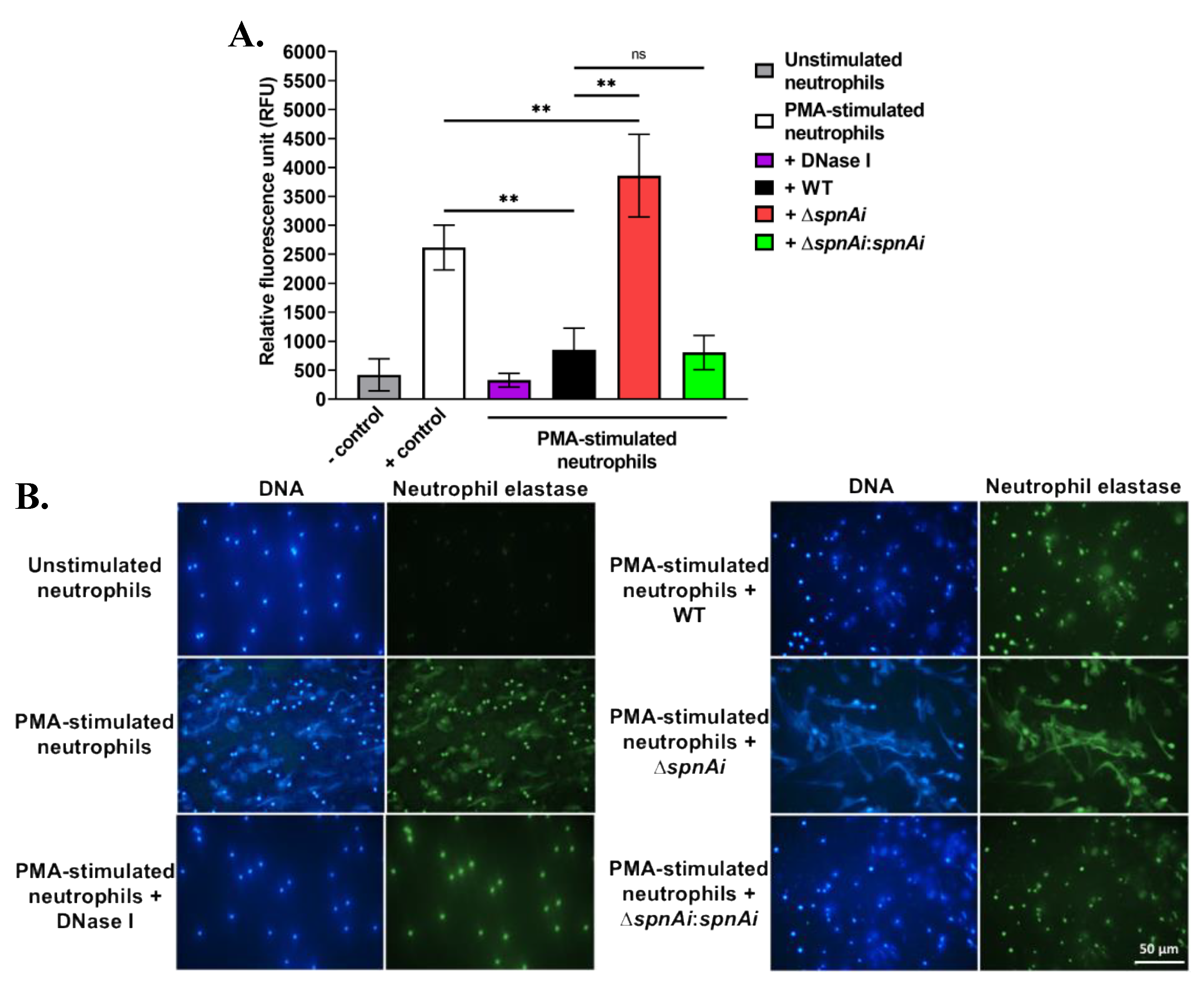 Microorganisms 08 01361 g002 Microorganisms 08 01361 g002