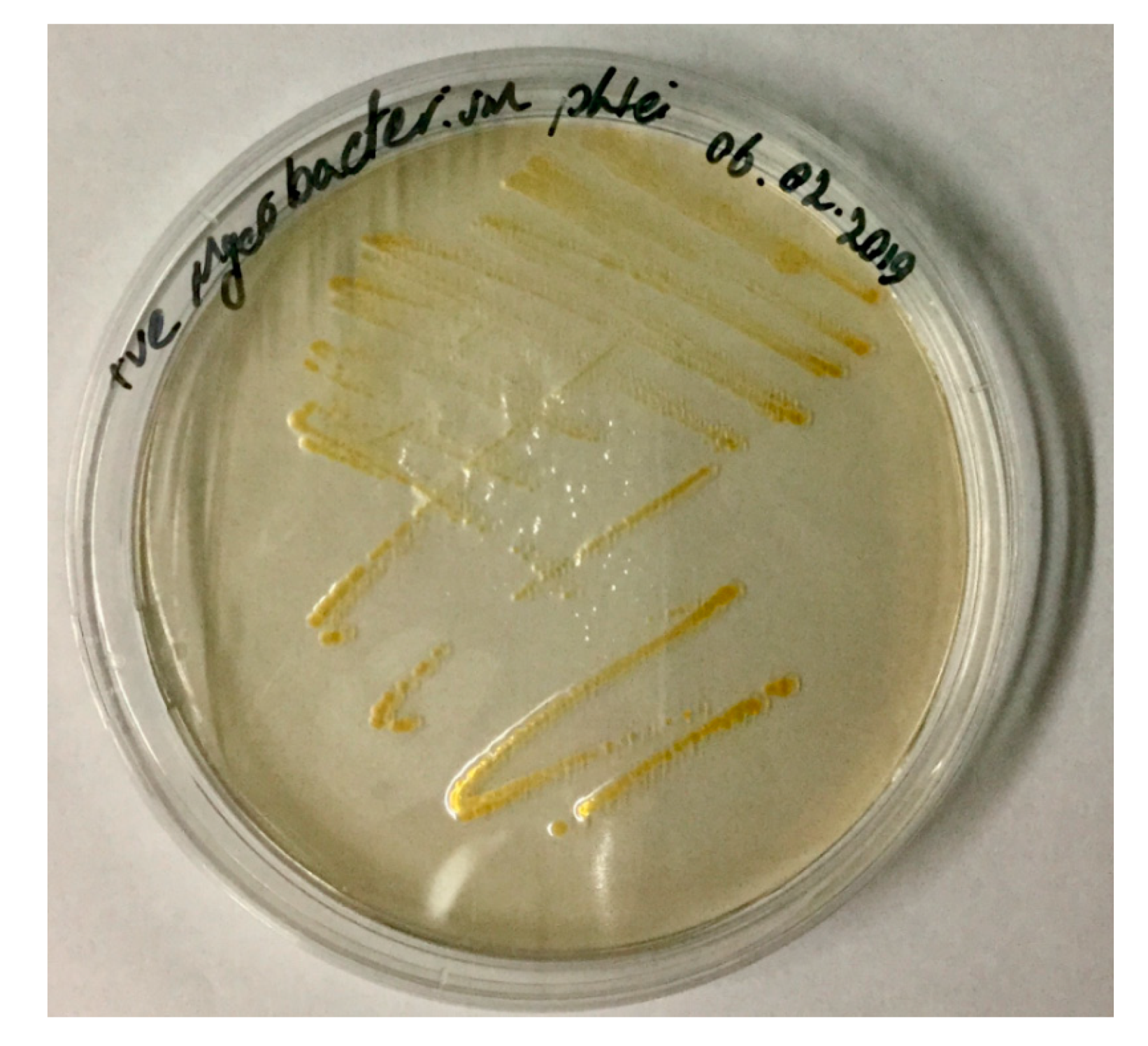 Microorganisms 08 01368 g003