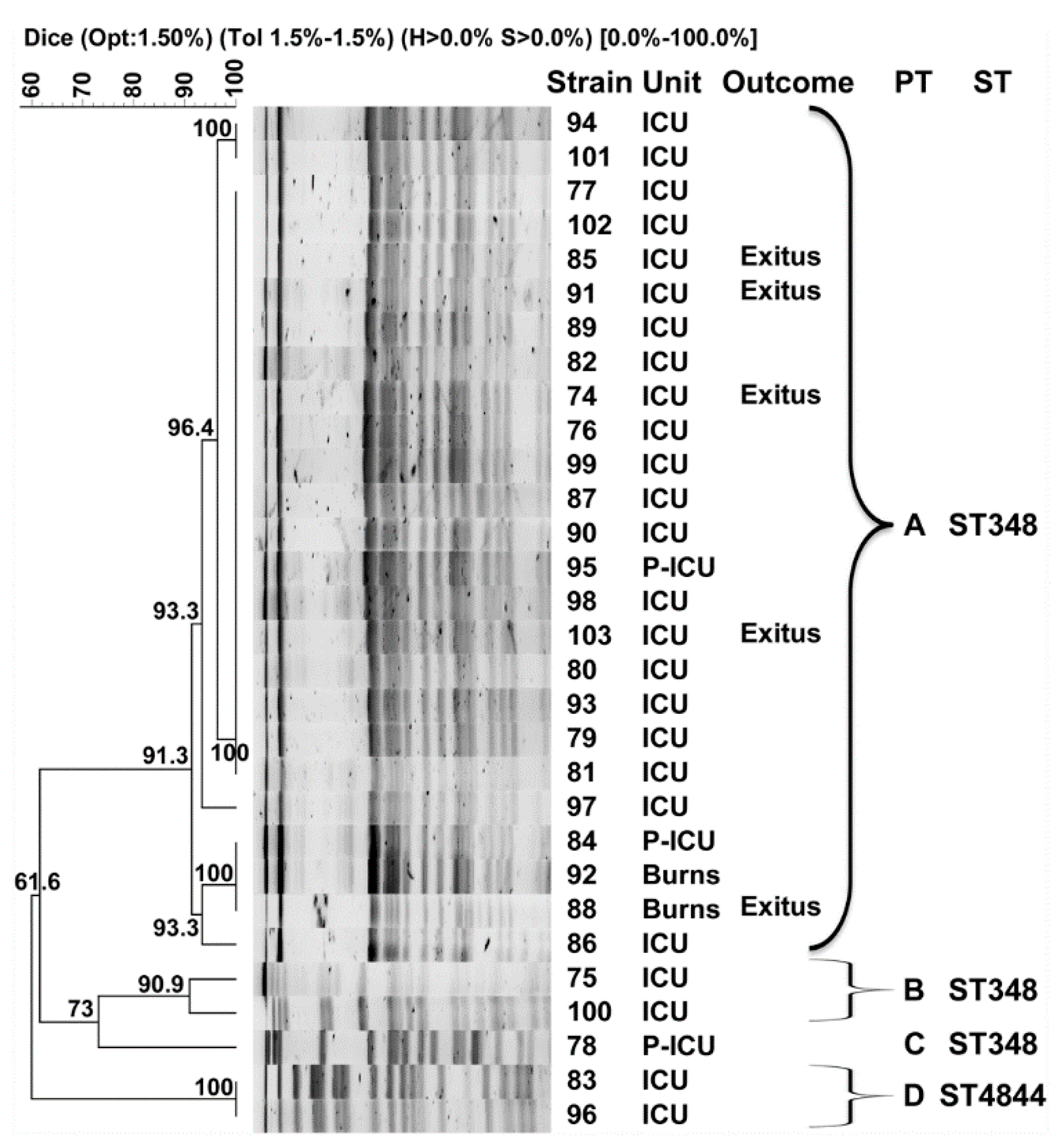 Microorganisms 08 01392 g001