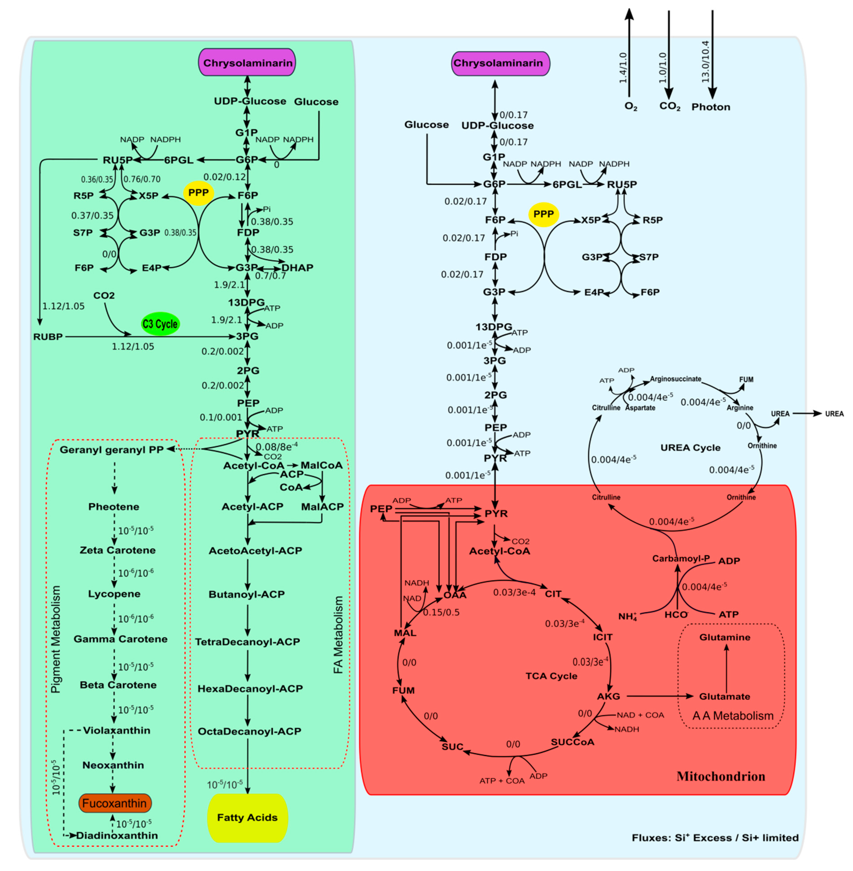 Microorganisms 08 01396 g002