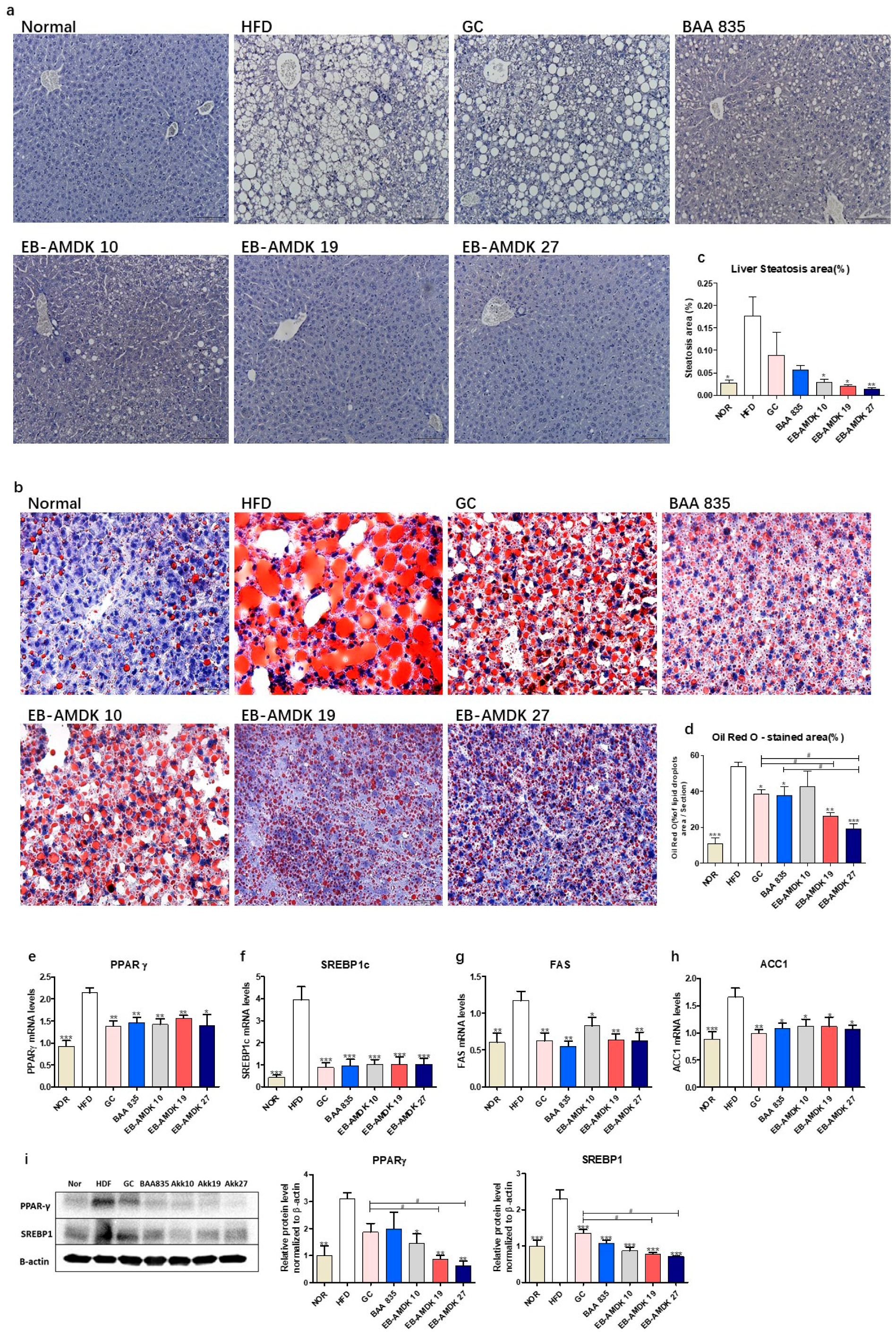 Microorganisms 08 01413 g004