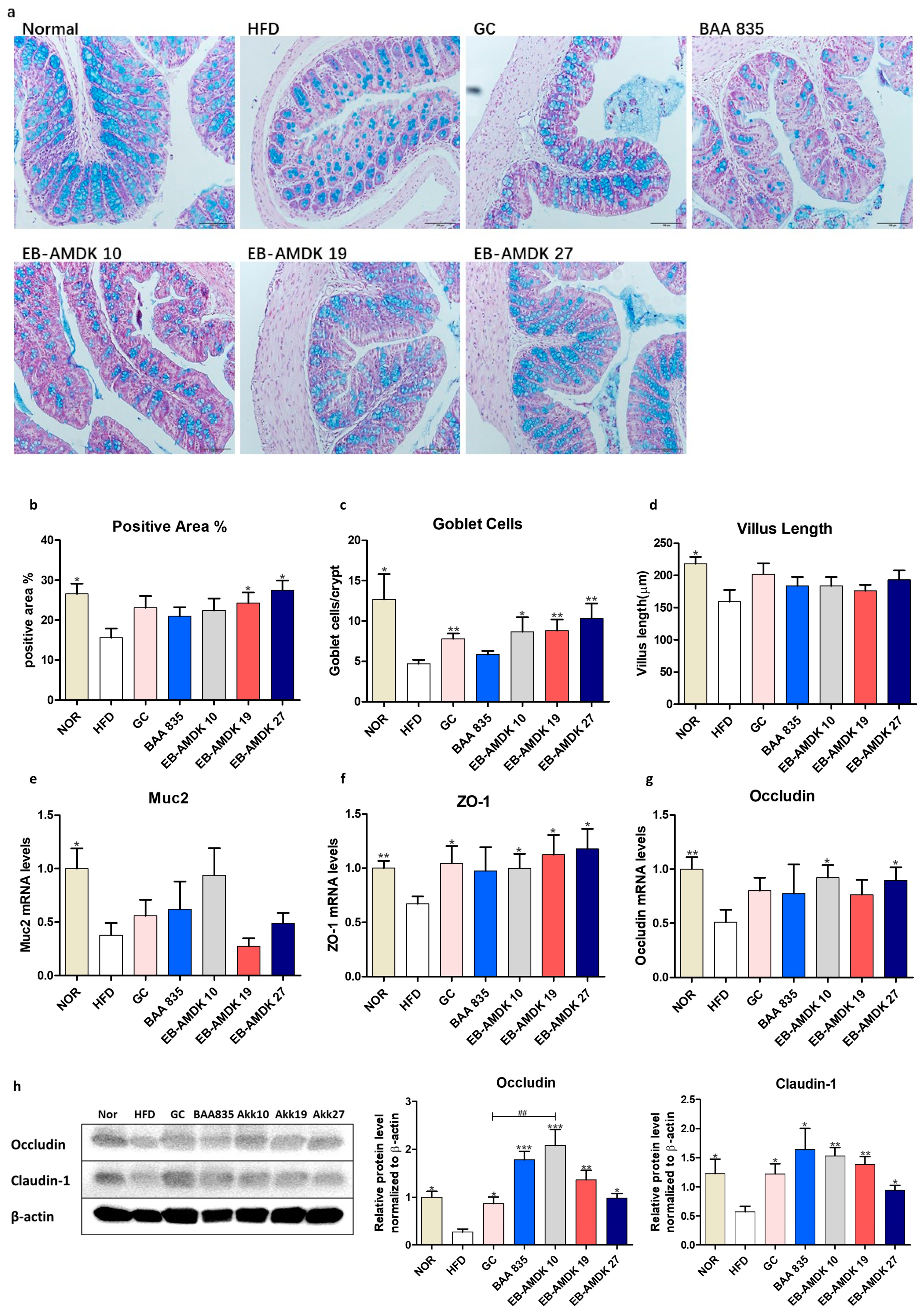 Microorganisms 08 01413 g007