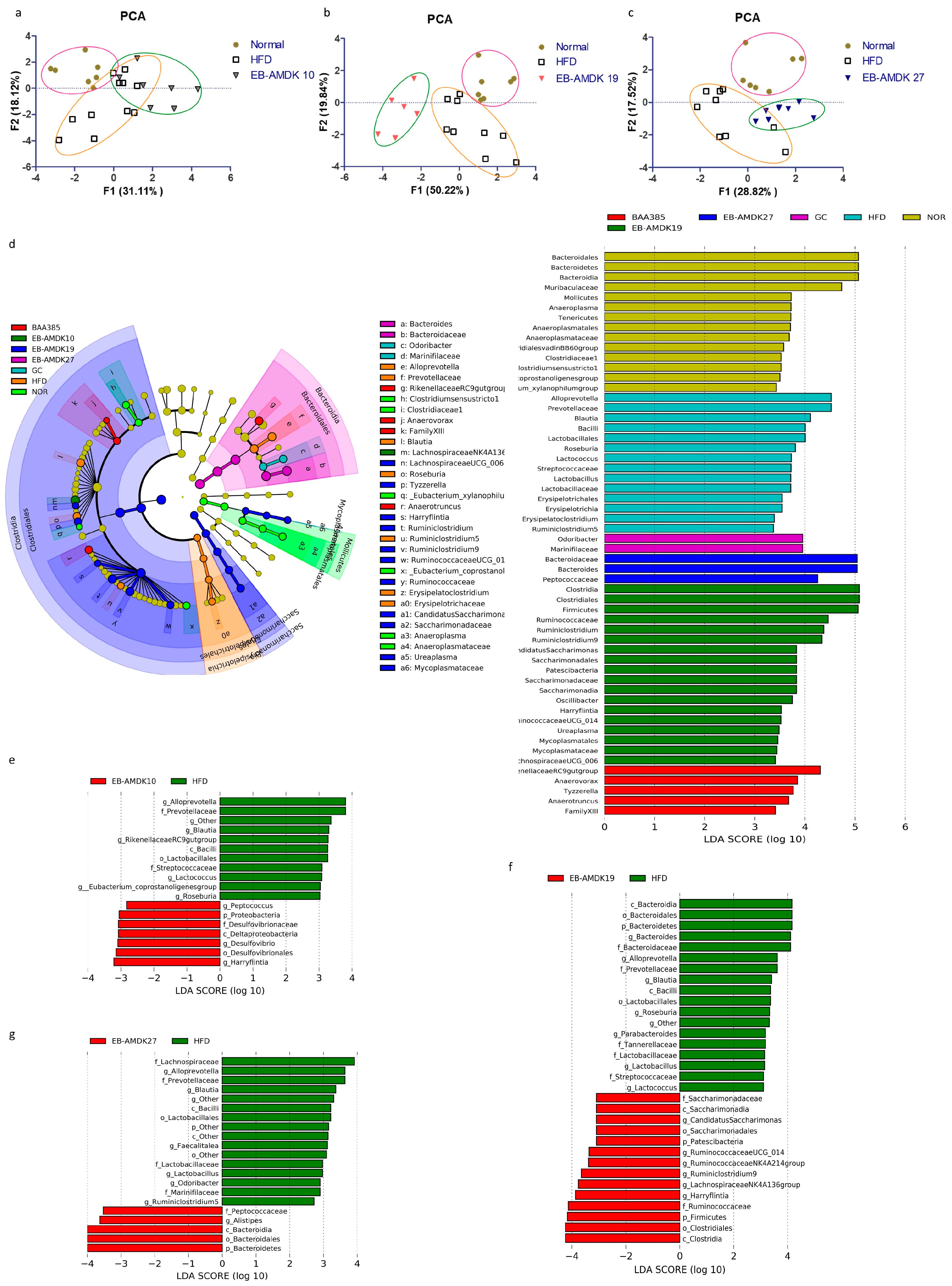 Microorganisms 08 01413 g008