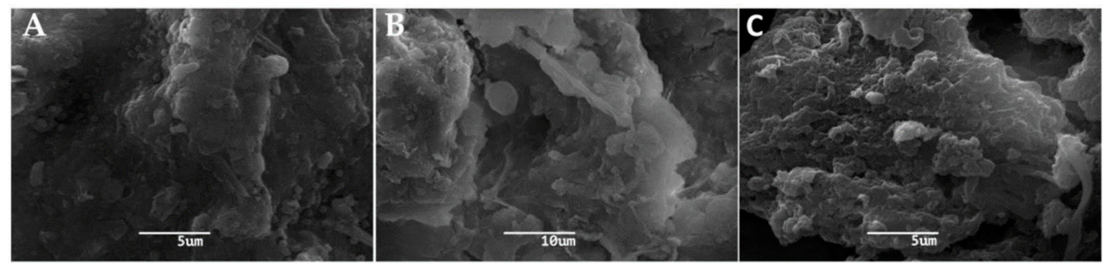 Microorganisms 08 01418 g002 Microorganisms 08 01418 g002