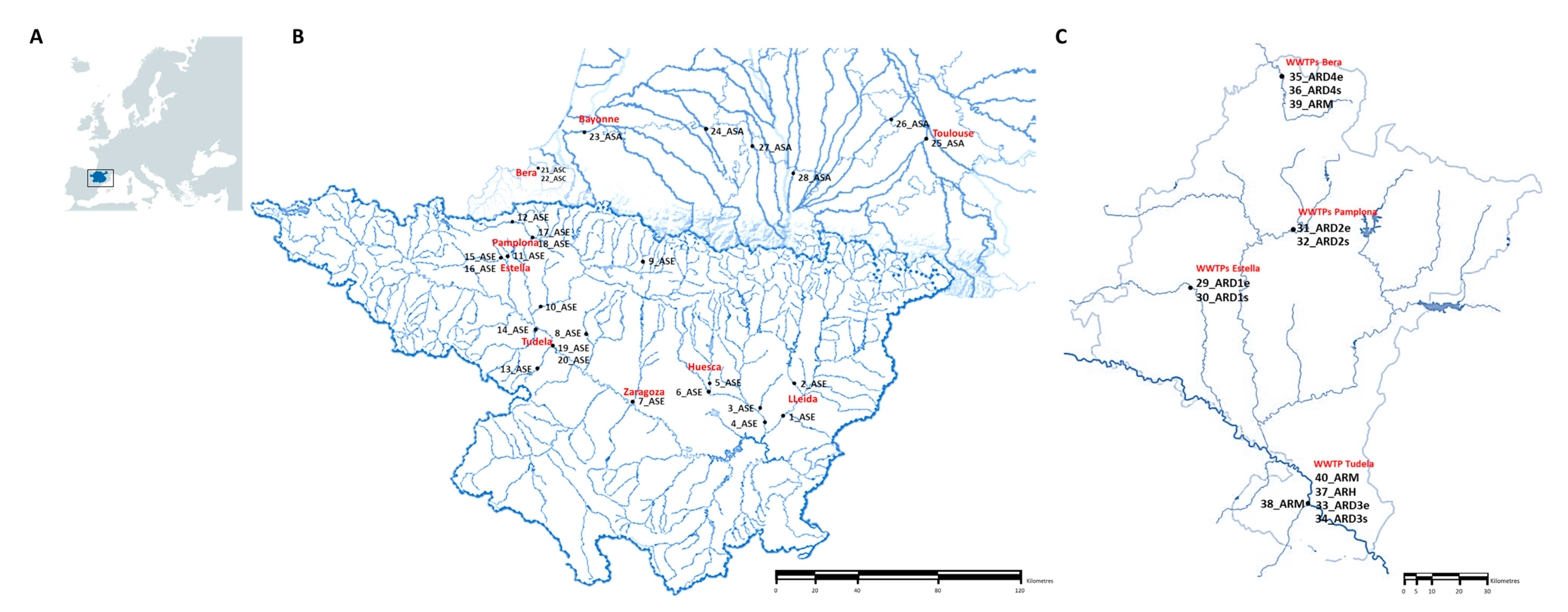 Microorganisms 08 01425 g001