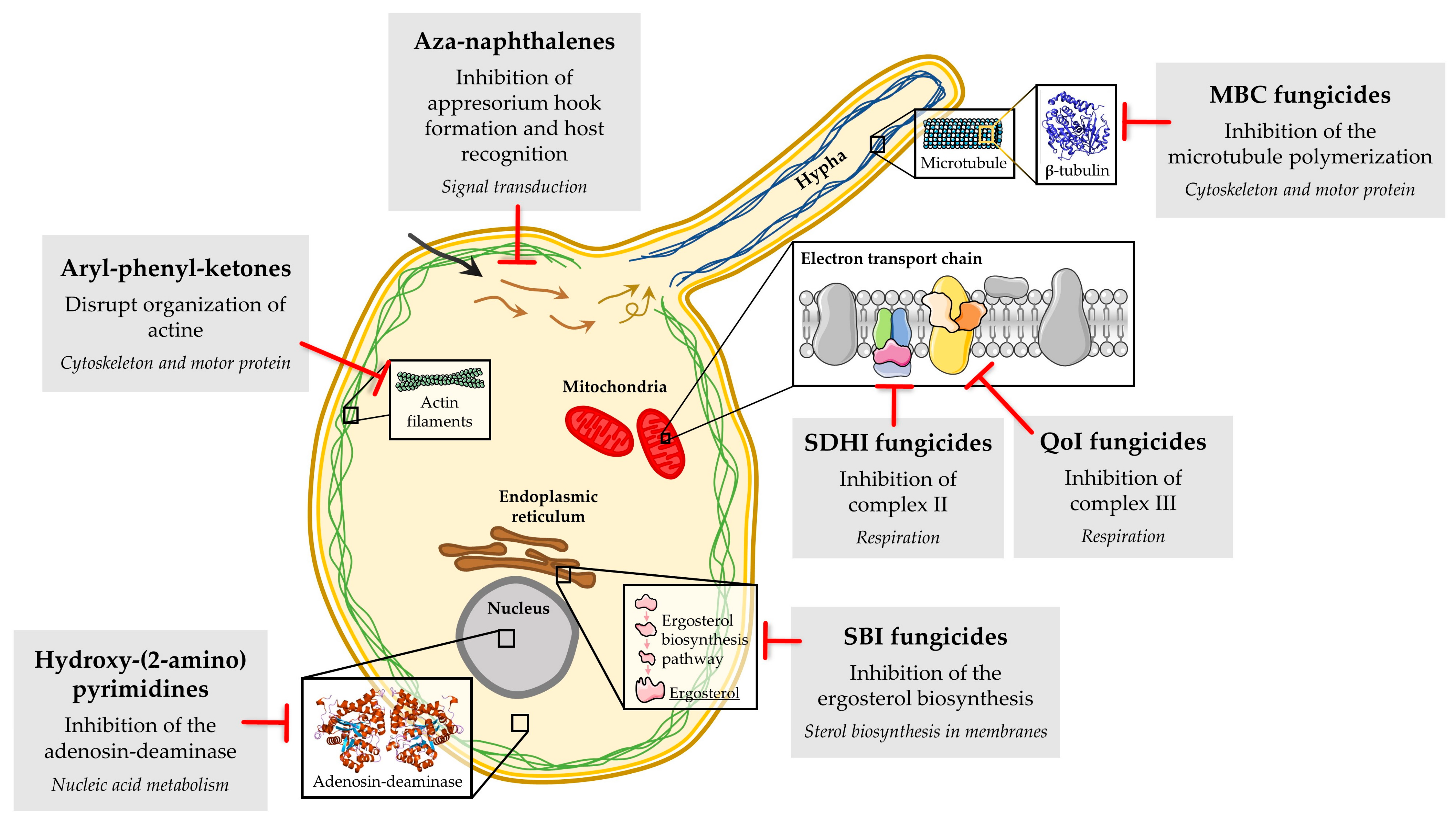 Microorganisms 08 01431 g003 Microorganisms 08 01431 g003