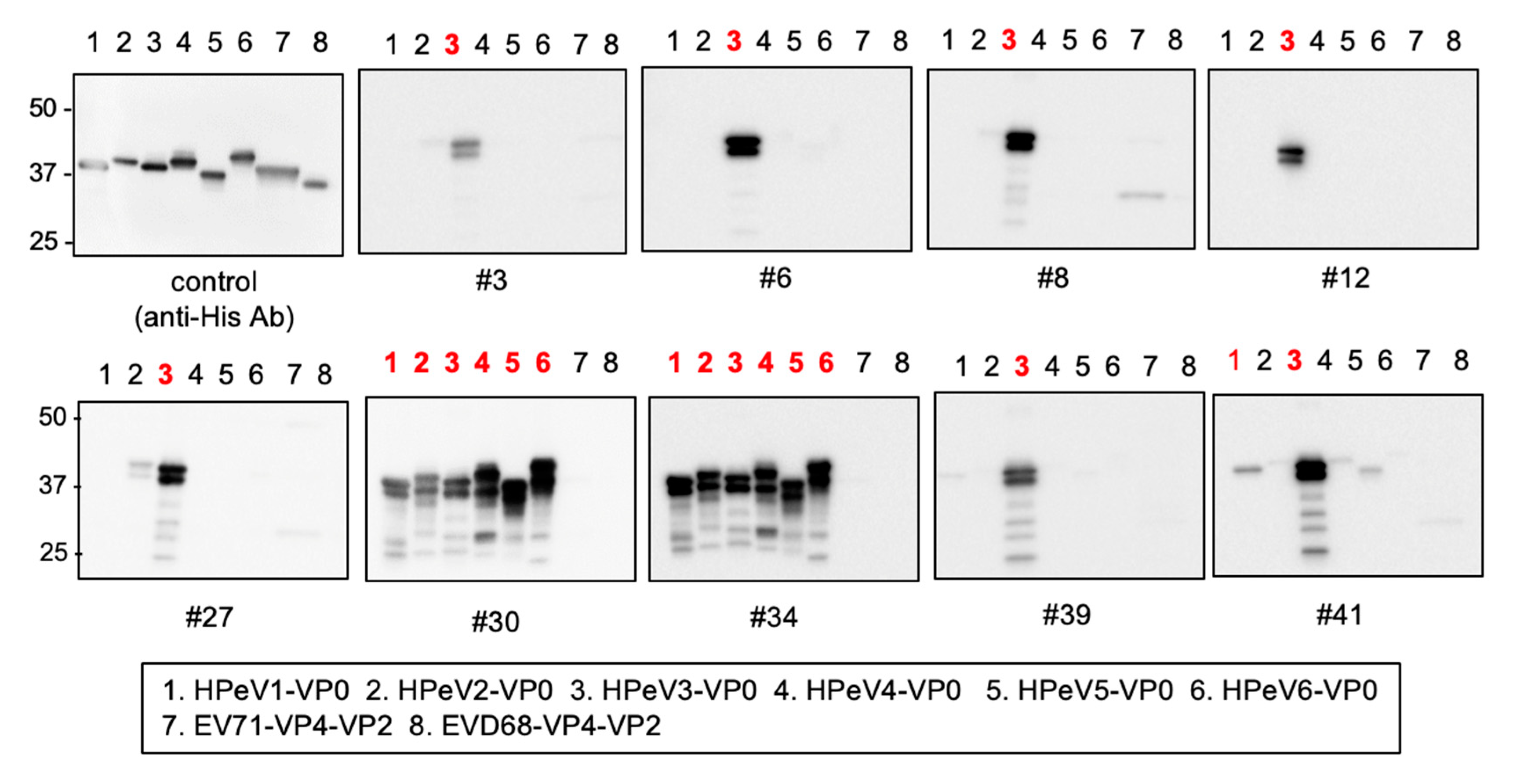 Microorganisms 08 01437 g003