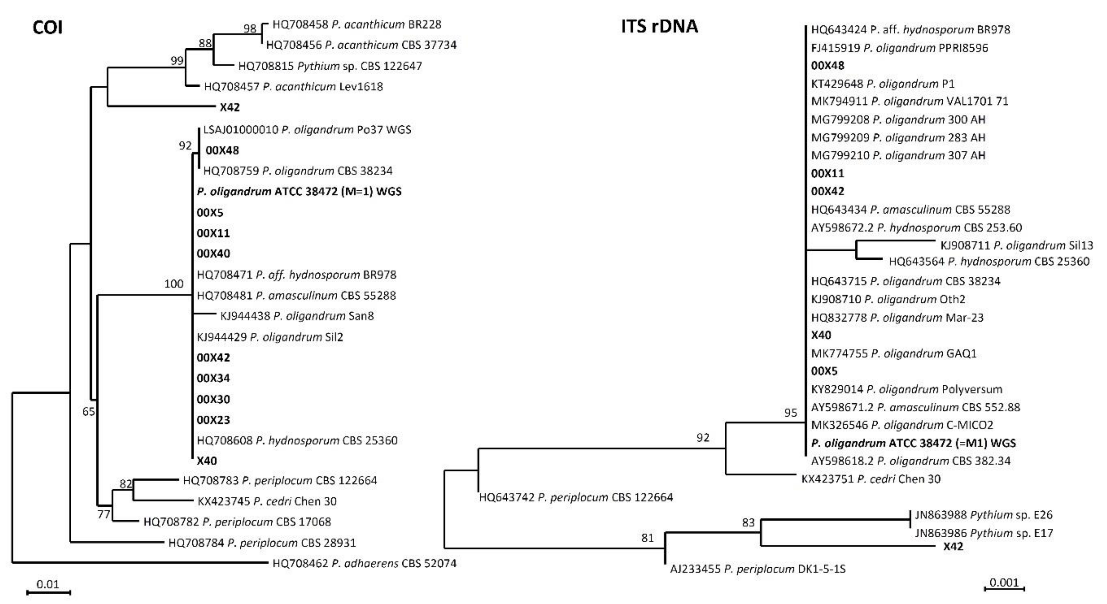 Microorganisms 08 01472 g001