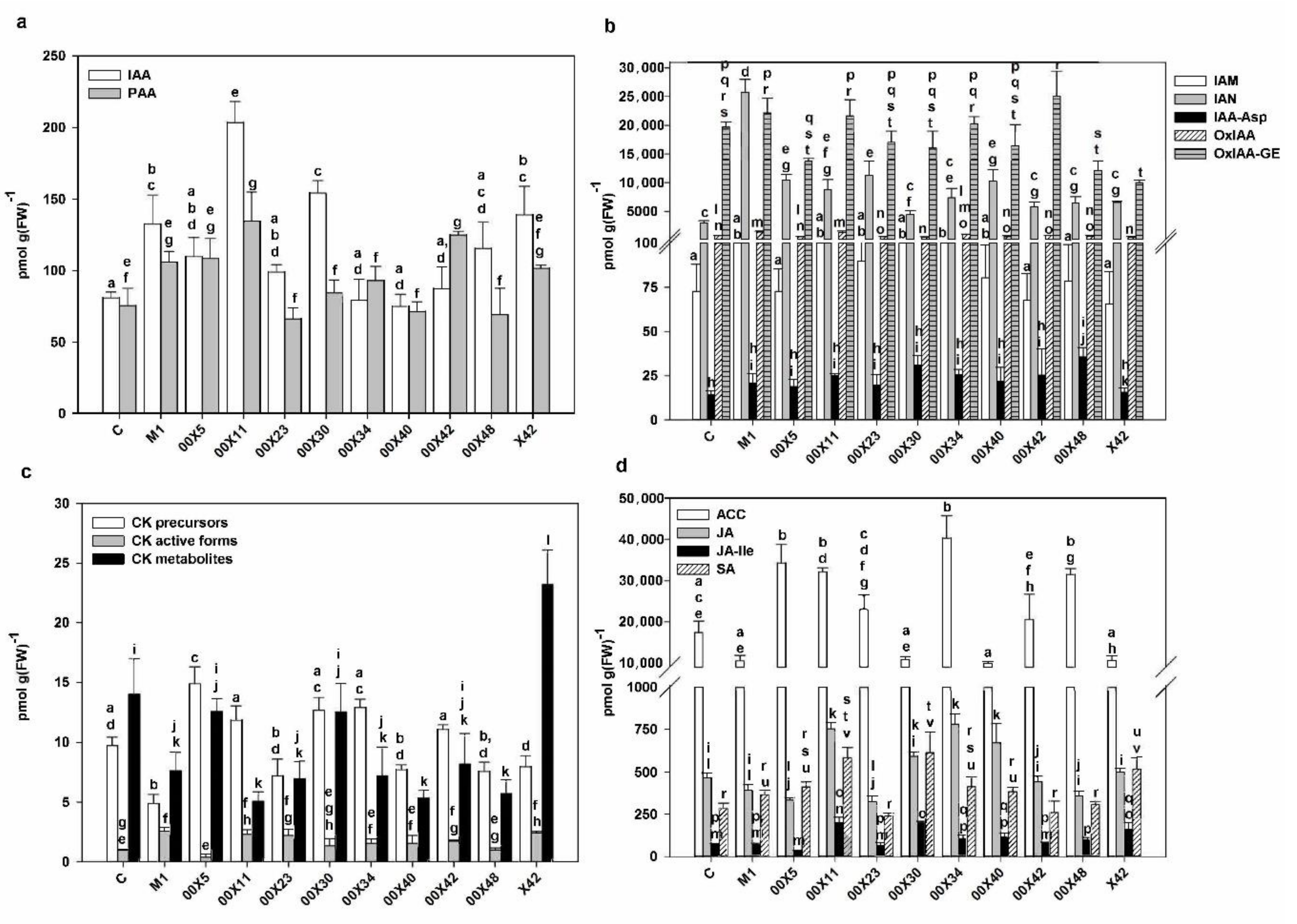 Microorganisms 08 01472 g008