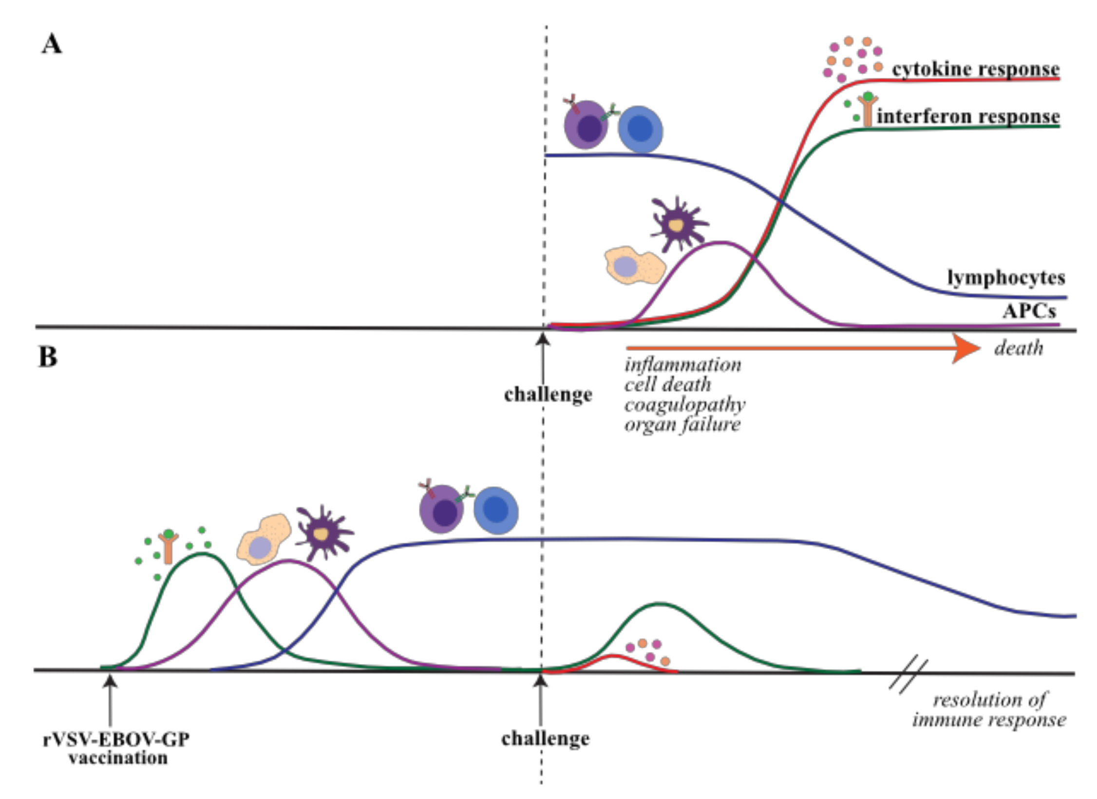 Microorganisms 08 01473 g001 Microorganisms 08 01473 g001