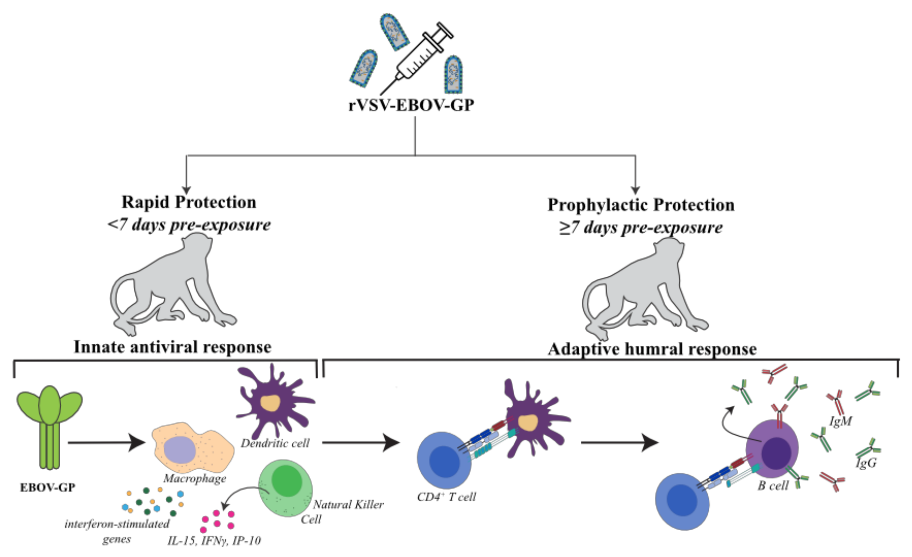 Microorganisms 08 01473 g002 Microorganisms 08 01473 g002