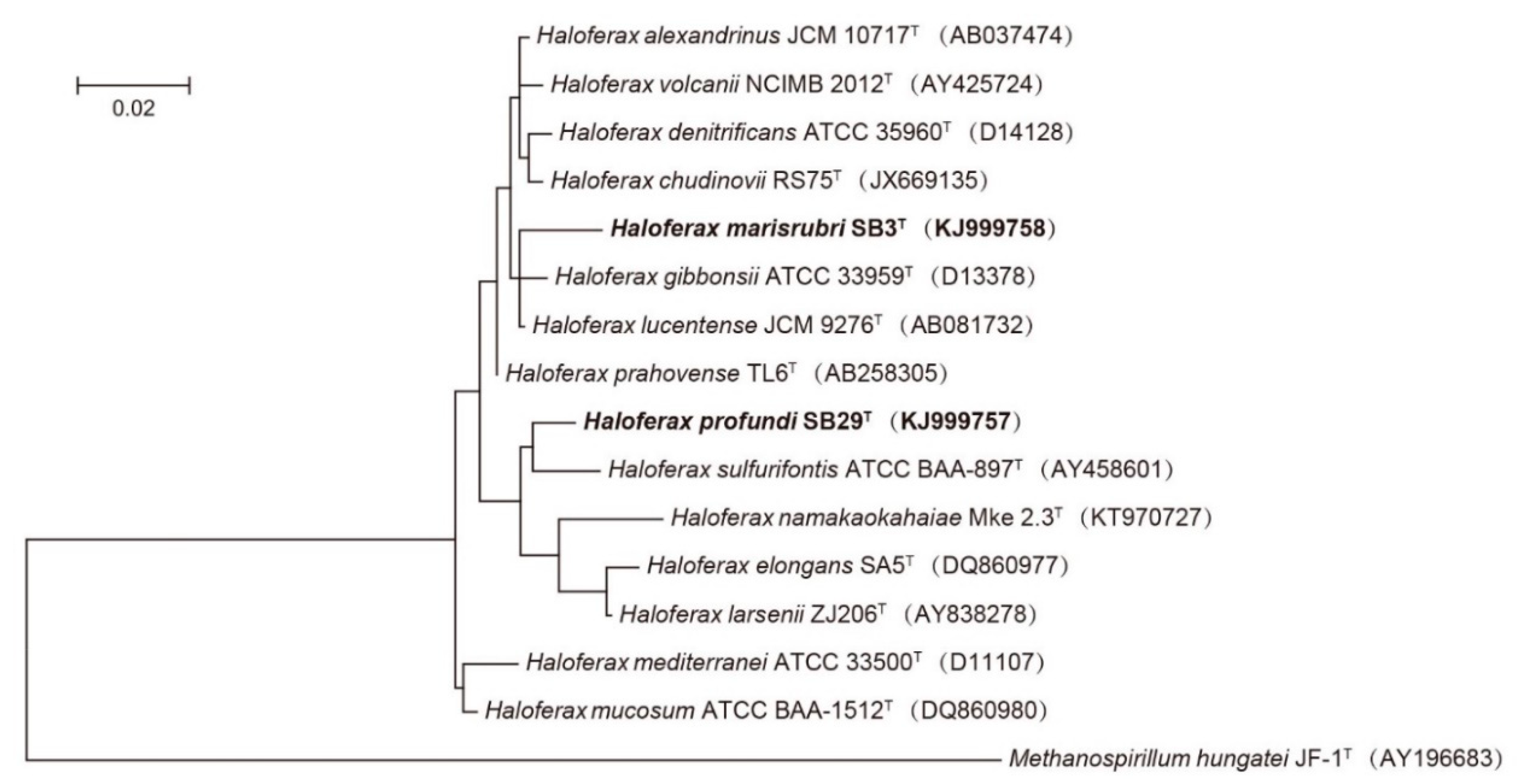 Microorganisms 08 01475 g001 Microorganisms 08 01475 g001