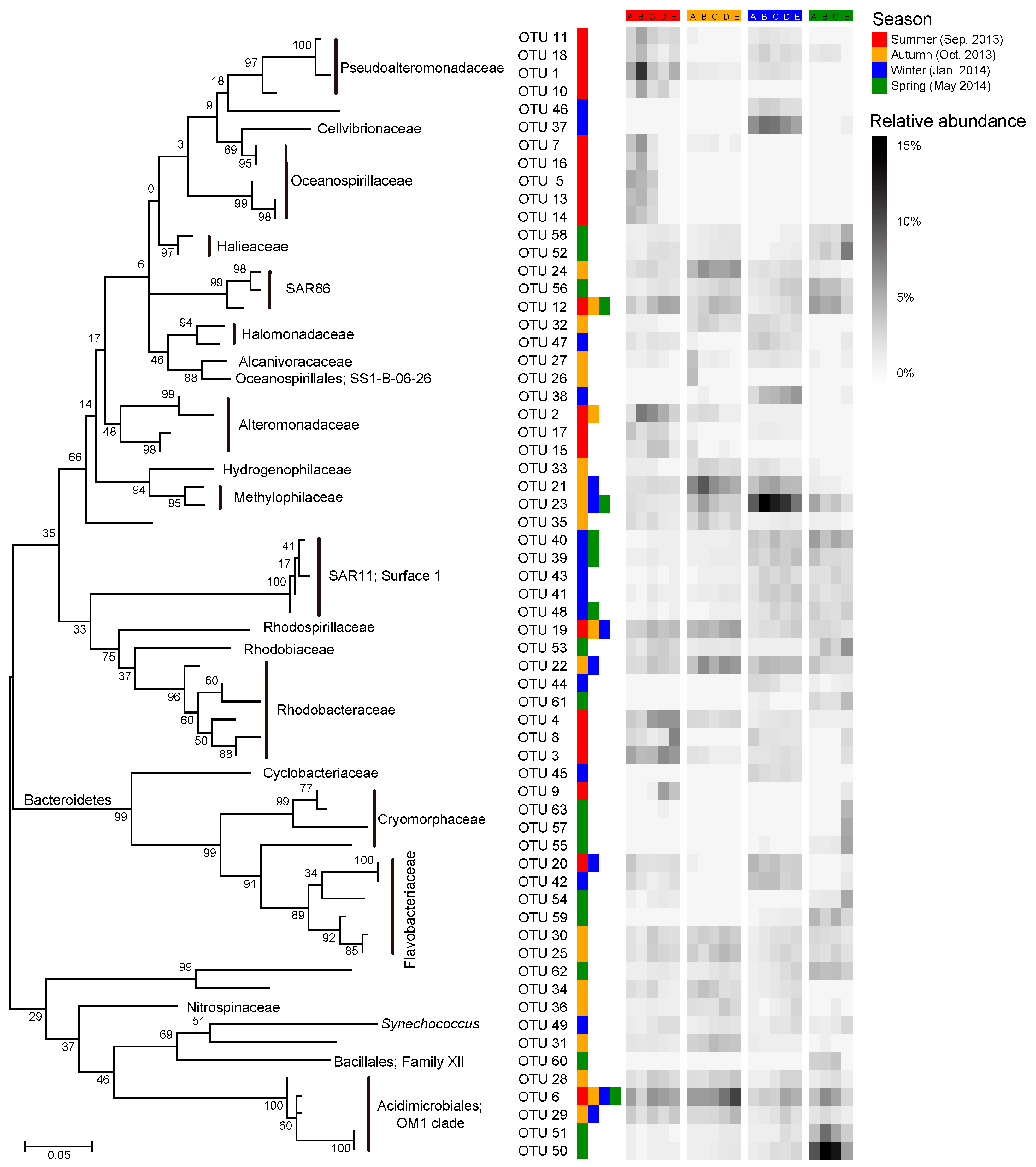 Microorganisms 08 01484 g007