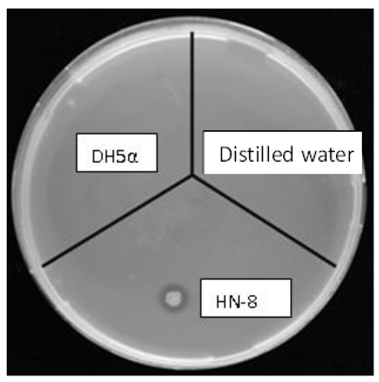 Microorganisms 08 01485 g001
