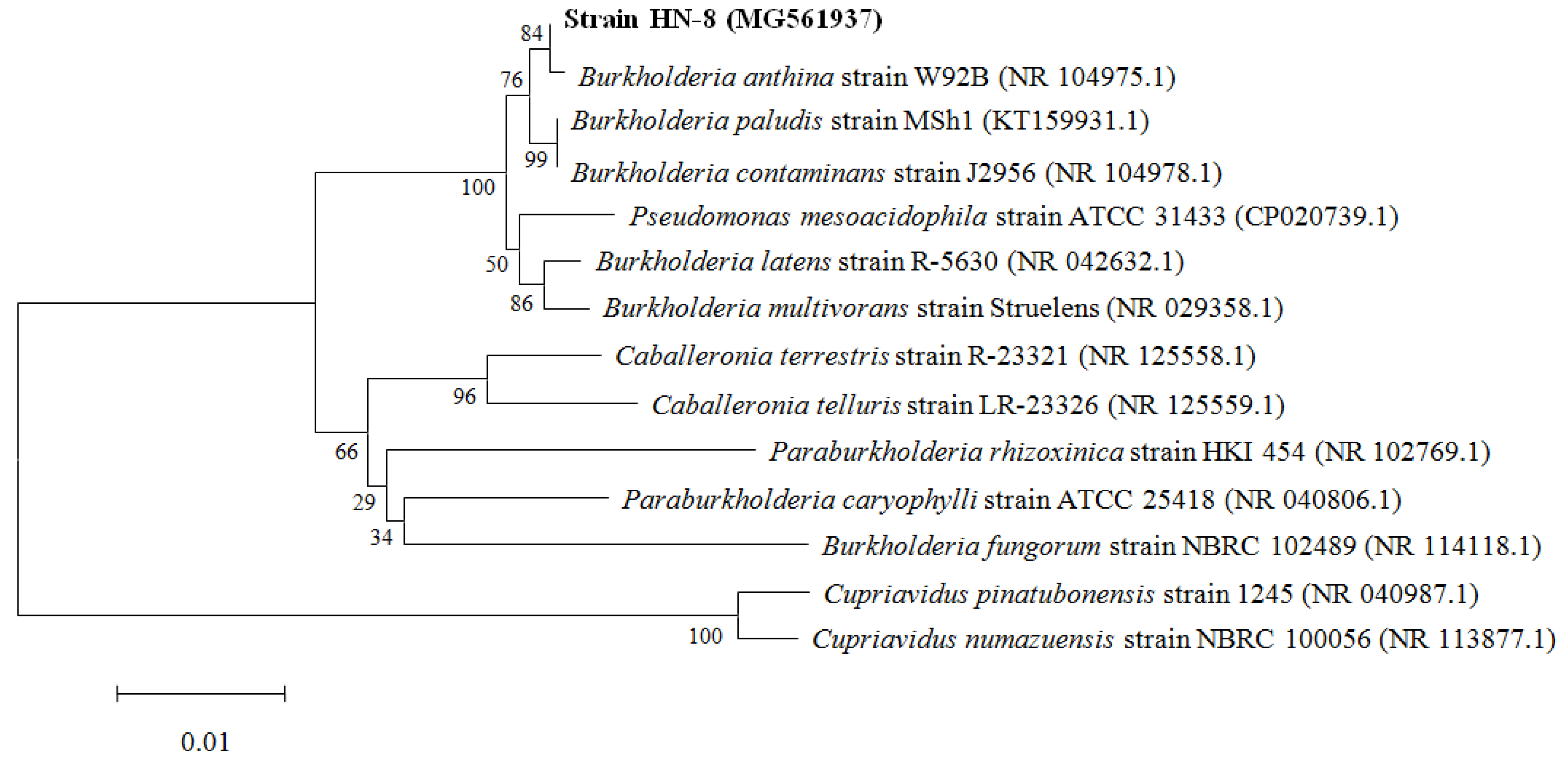 Microorganisms 08 01485 g002
