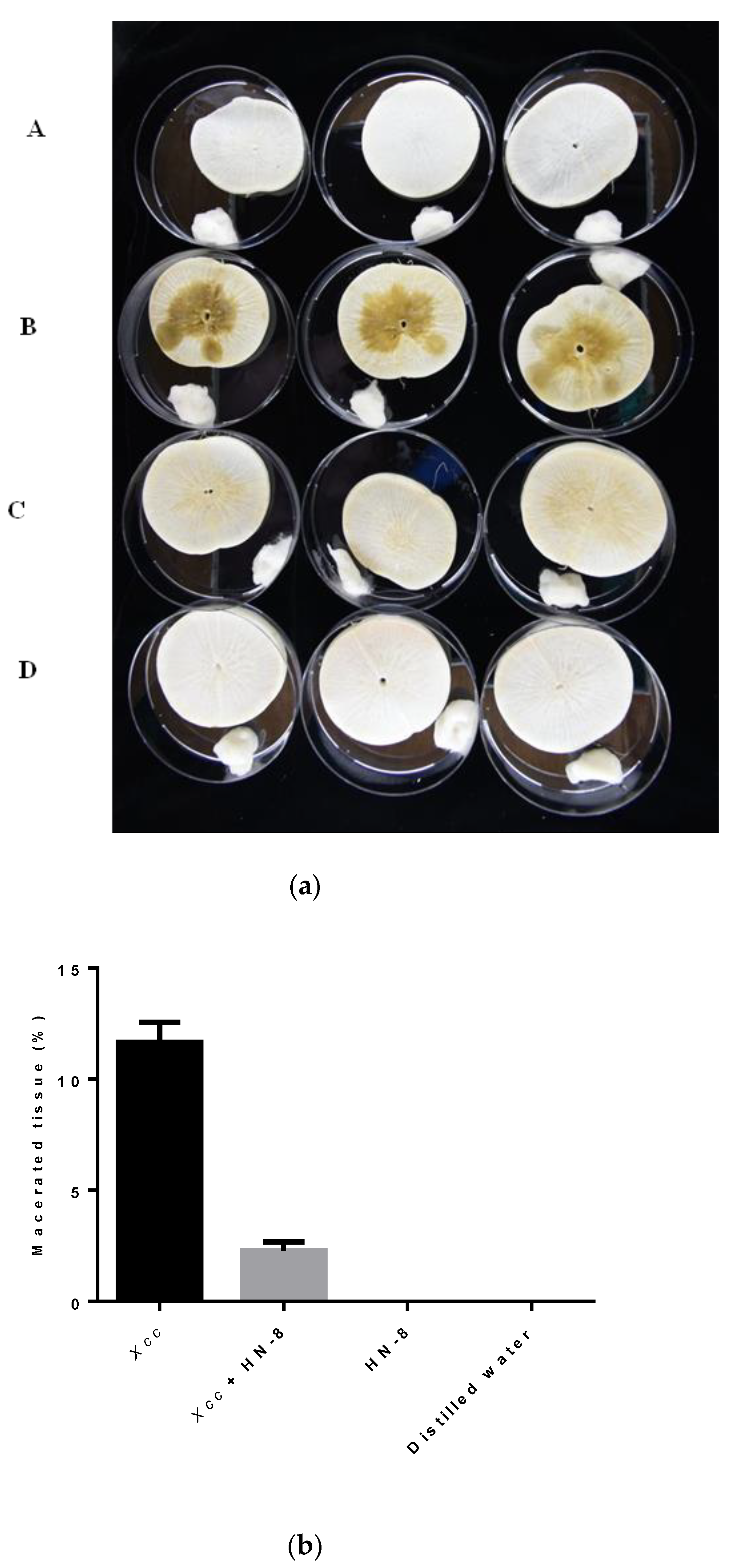 Microorganisms 08 01485 g006