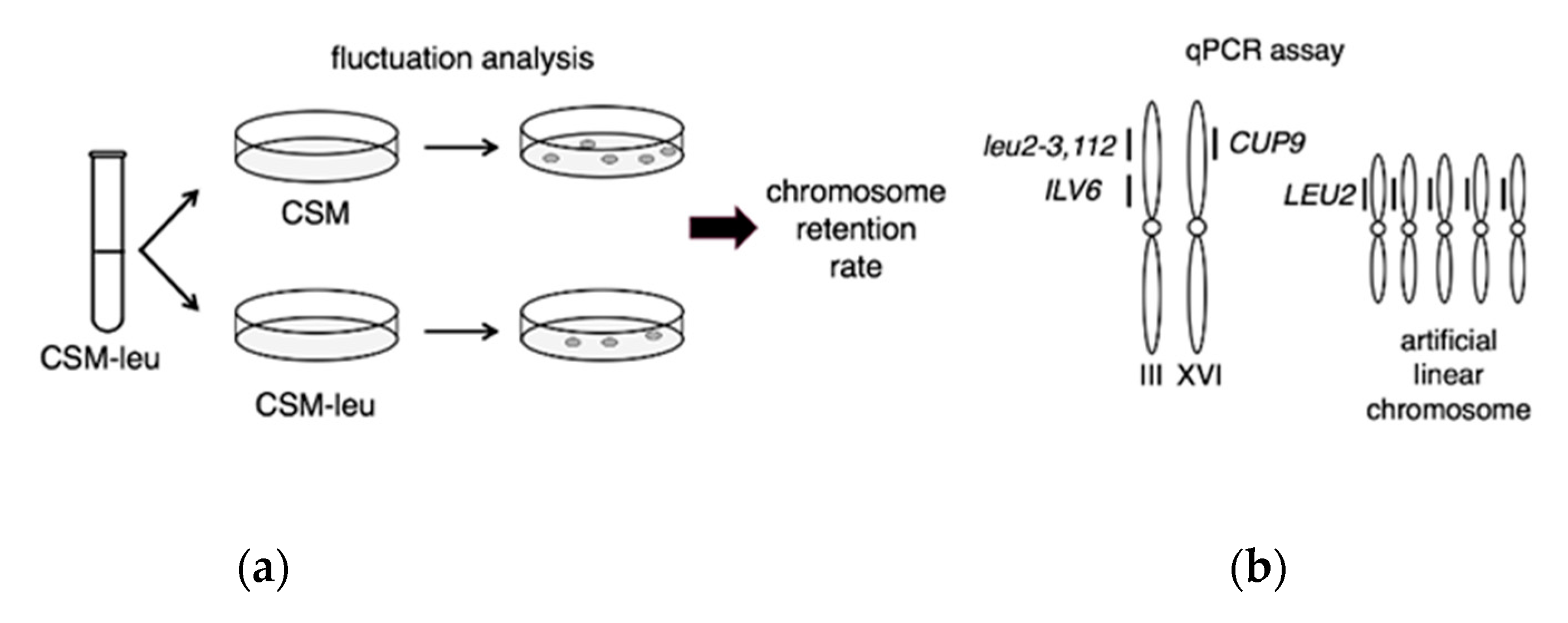 Microorganisms 08 01495 g001a Microorganisms 08 01495 g001a