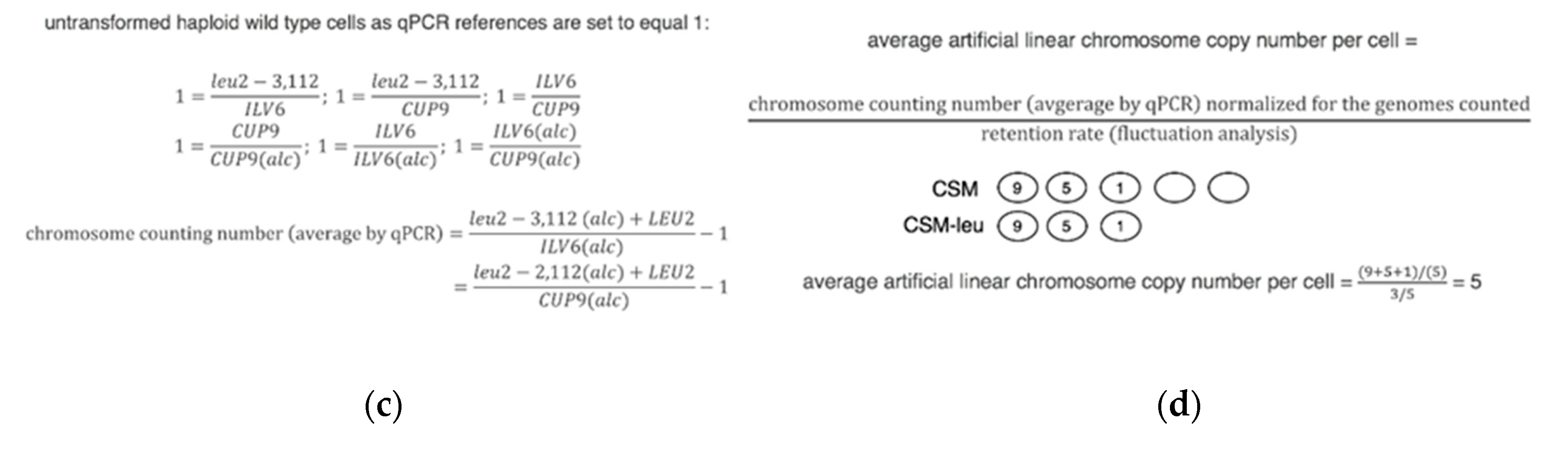 Microorganisms 08 01495 g001b Microorganisms 08 01495 g001b