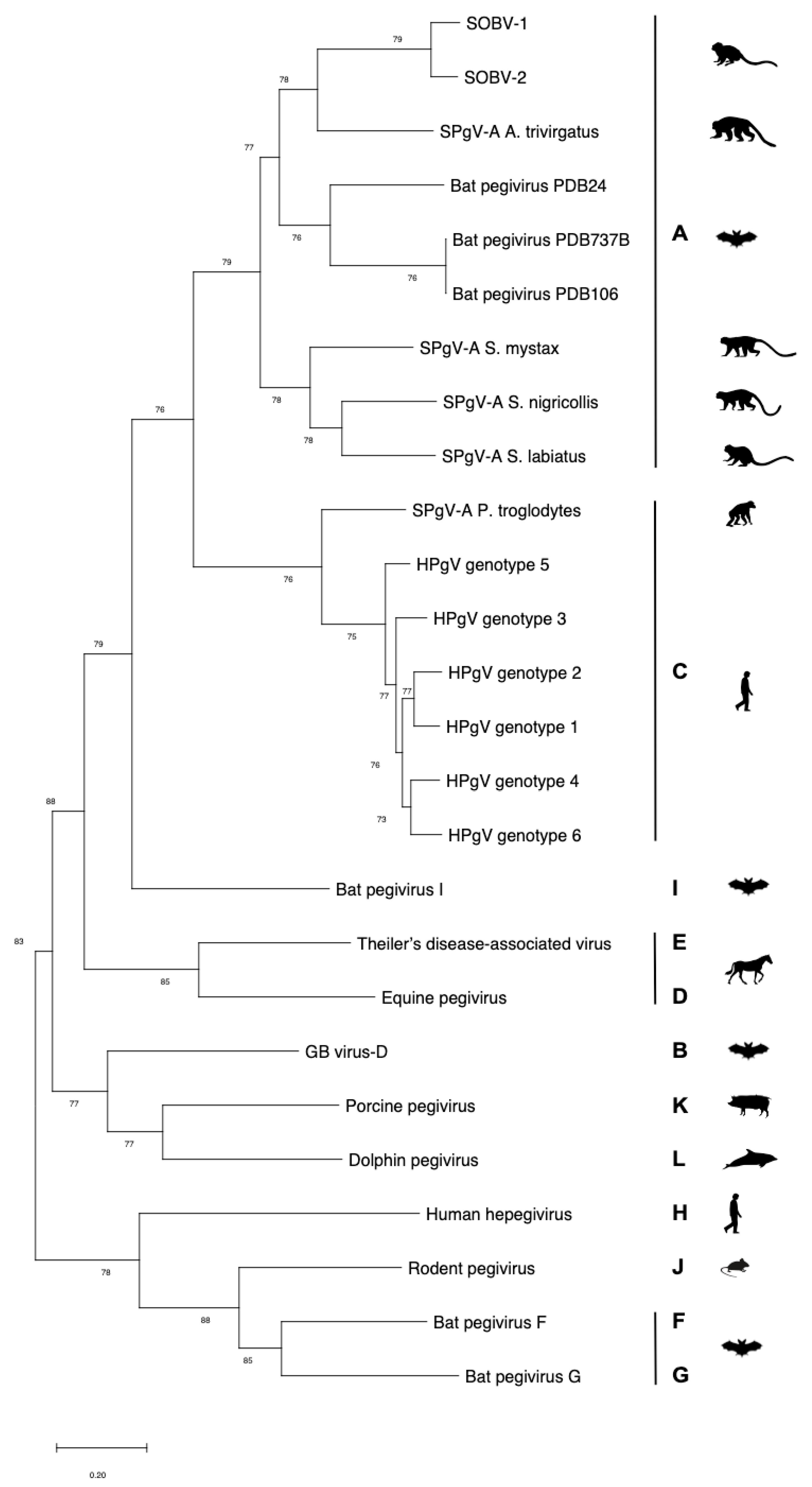Microorganisms 08 01509 g001