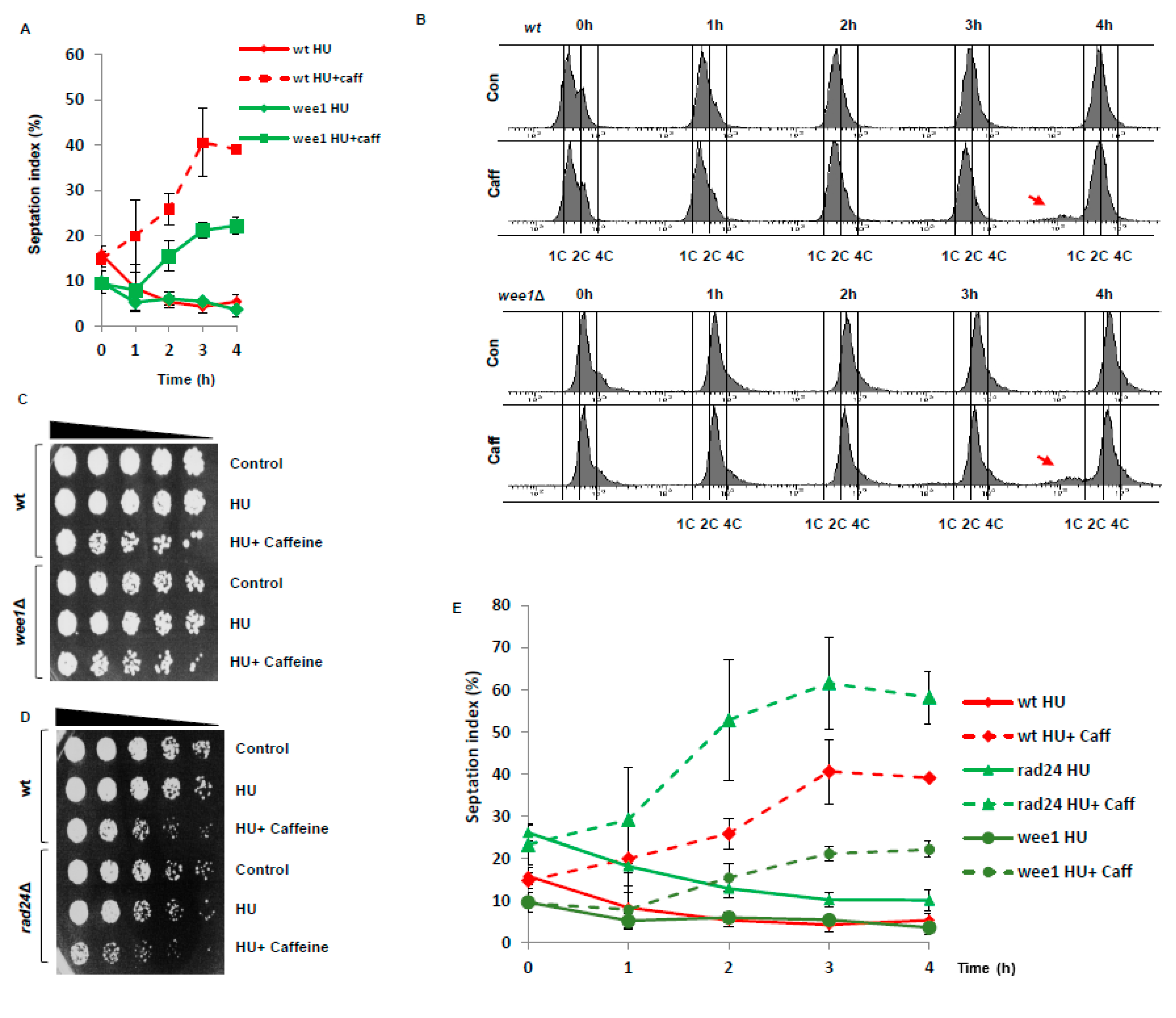 Microorganisms 08 01512 g004