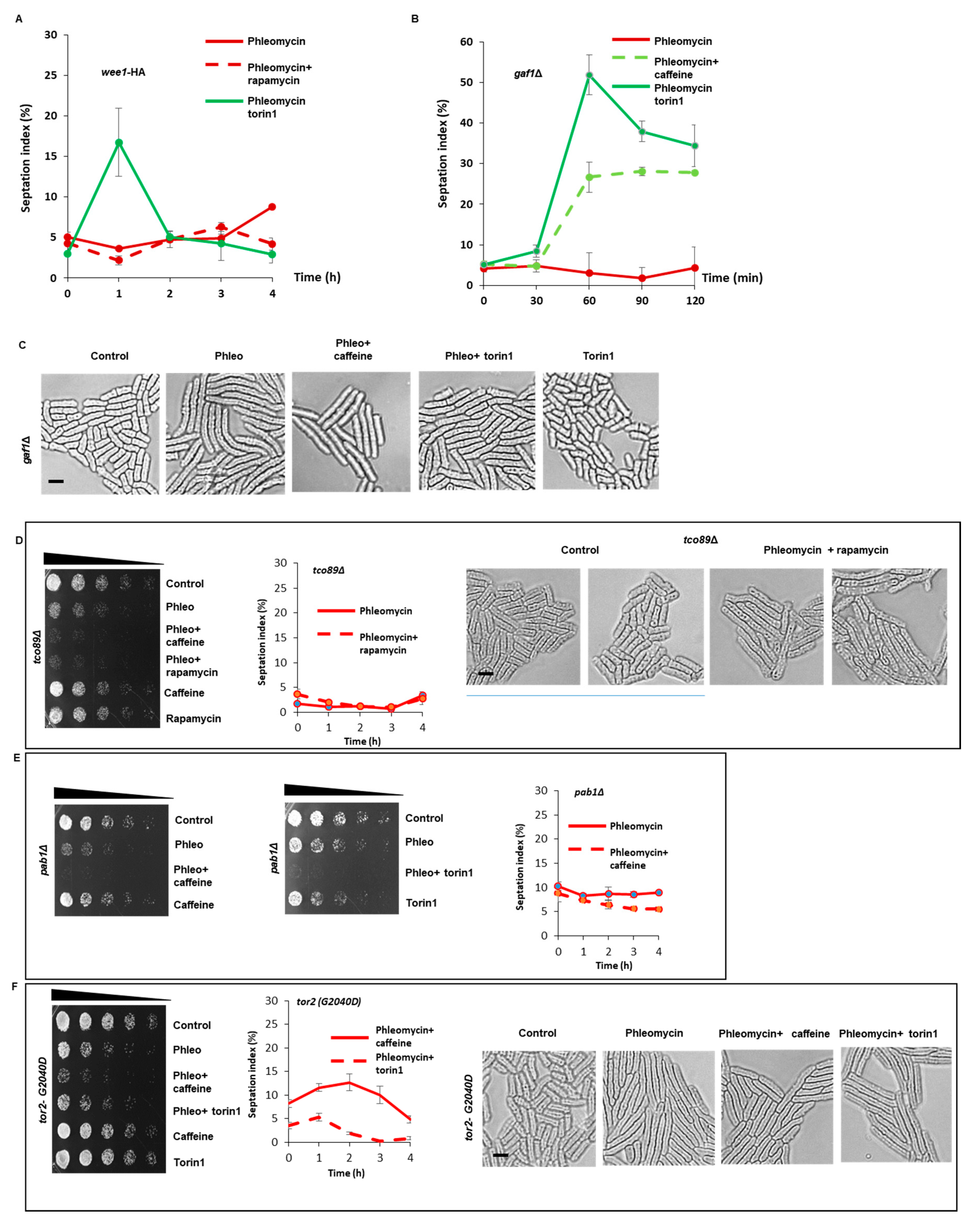 Microorganisms 08 01512 g006