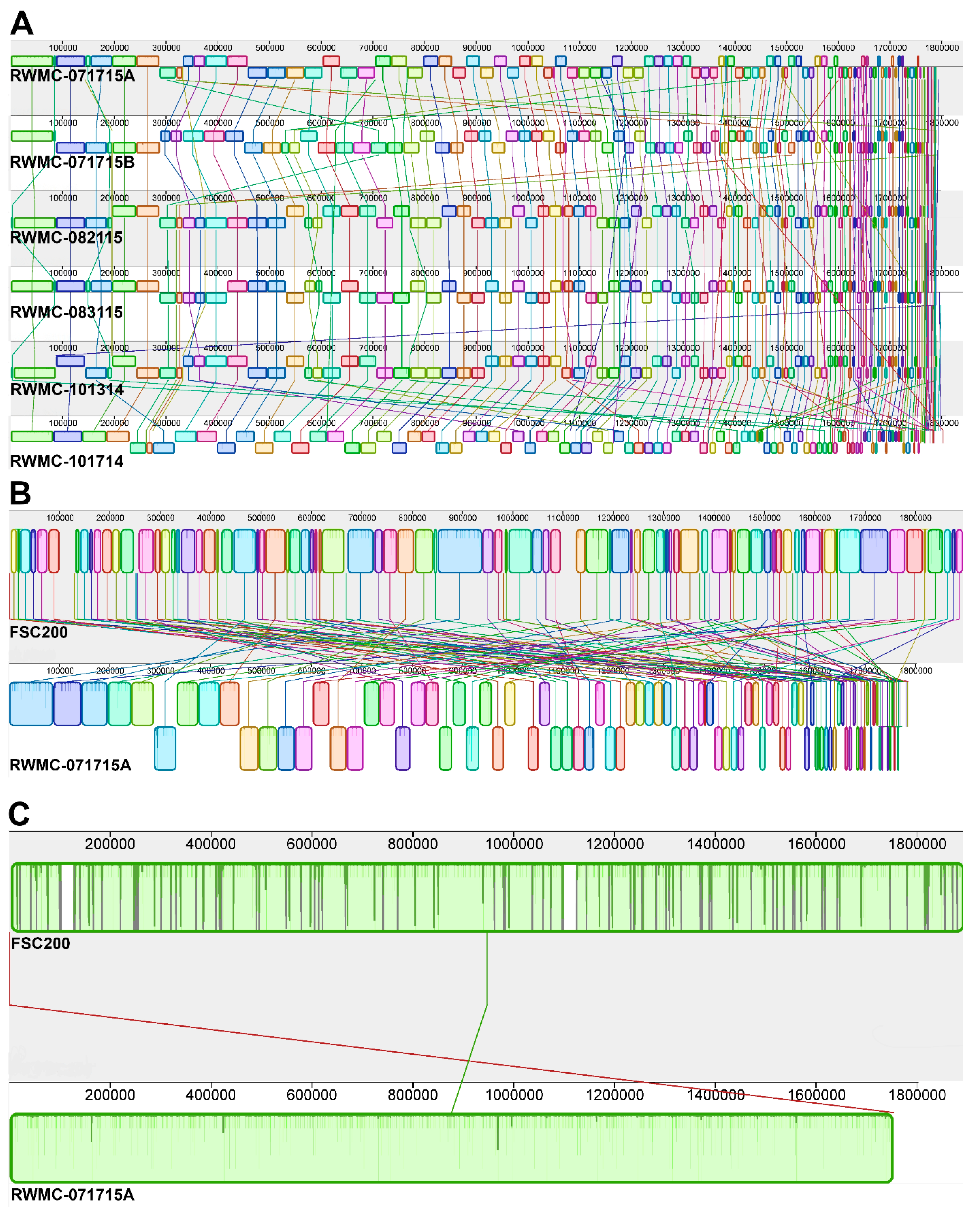Microorganisms 08 01515 g001