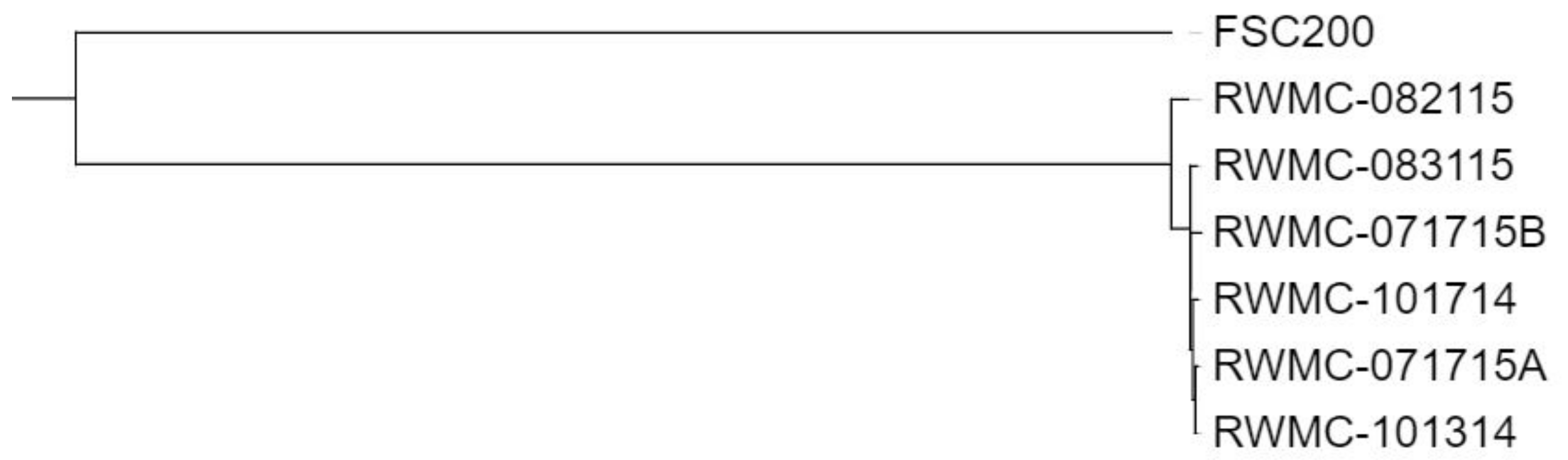 Microorganisms 08 01515 g002