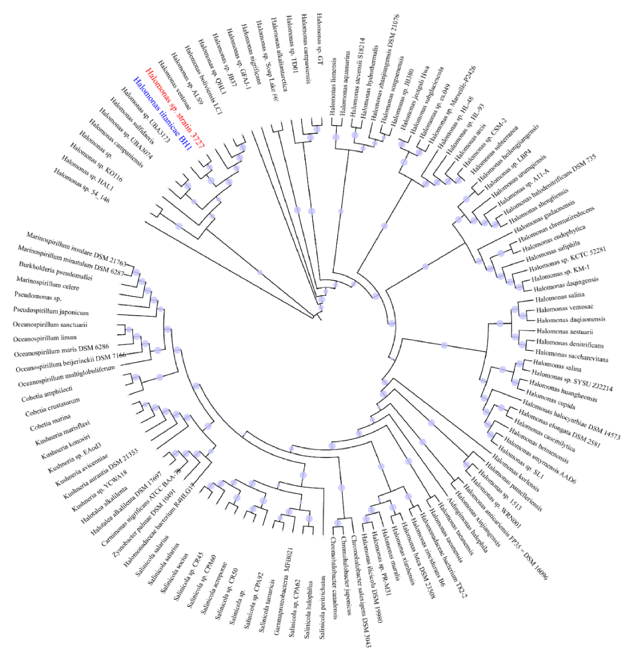 Microorganisms 08 01529 g002