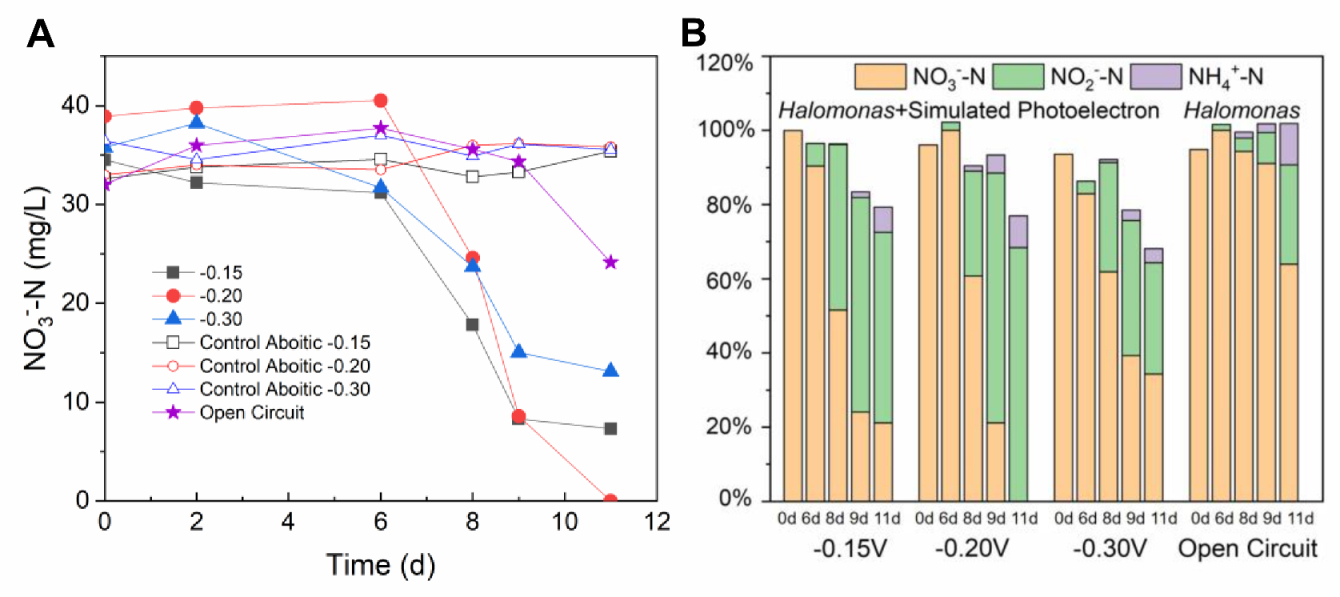 Microorganisms 08 01529 g004