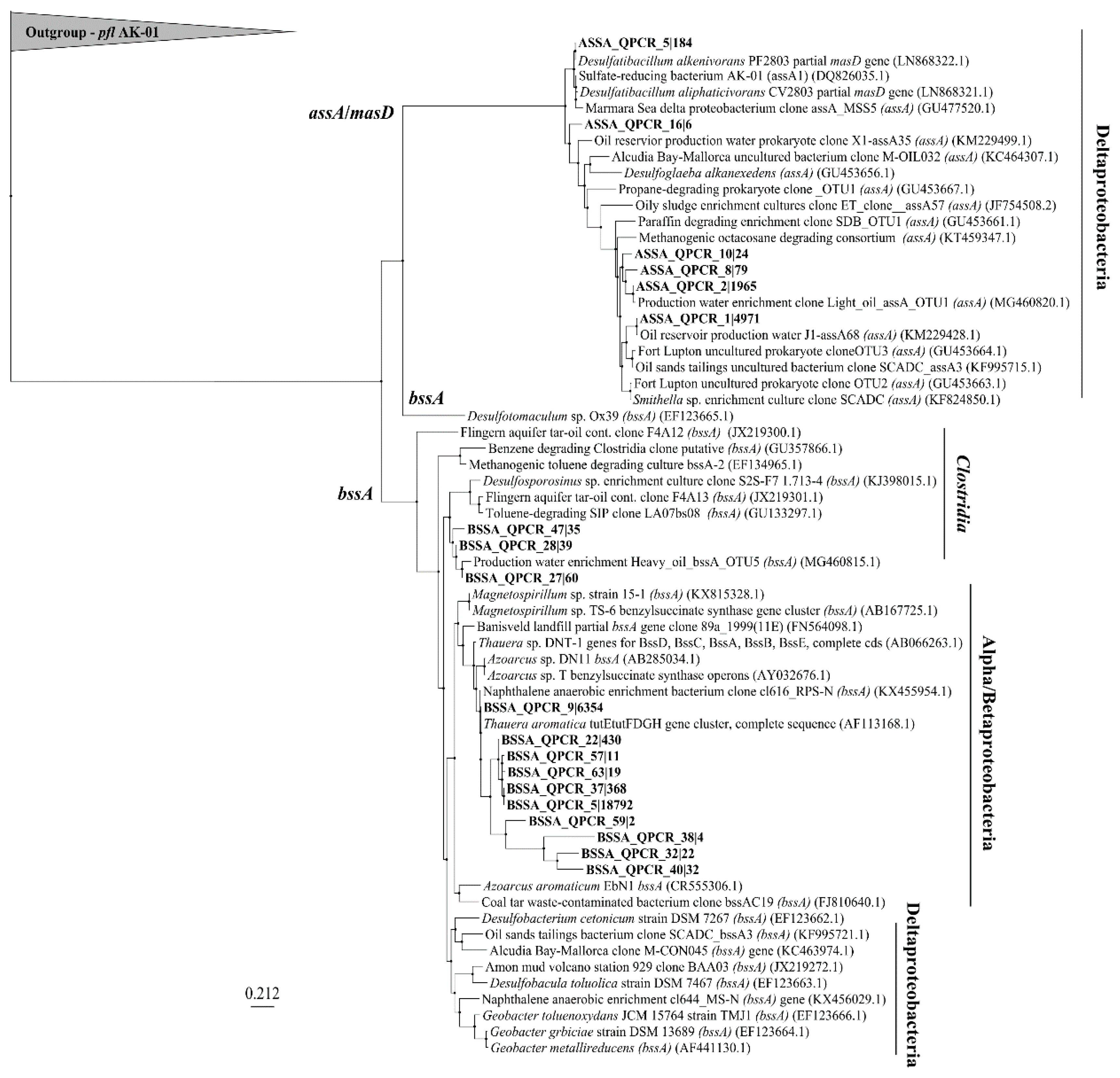Microorganisms 08 01532 g006 Microorganisms 08 01532 g006