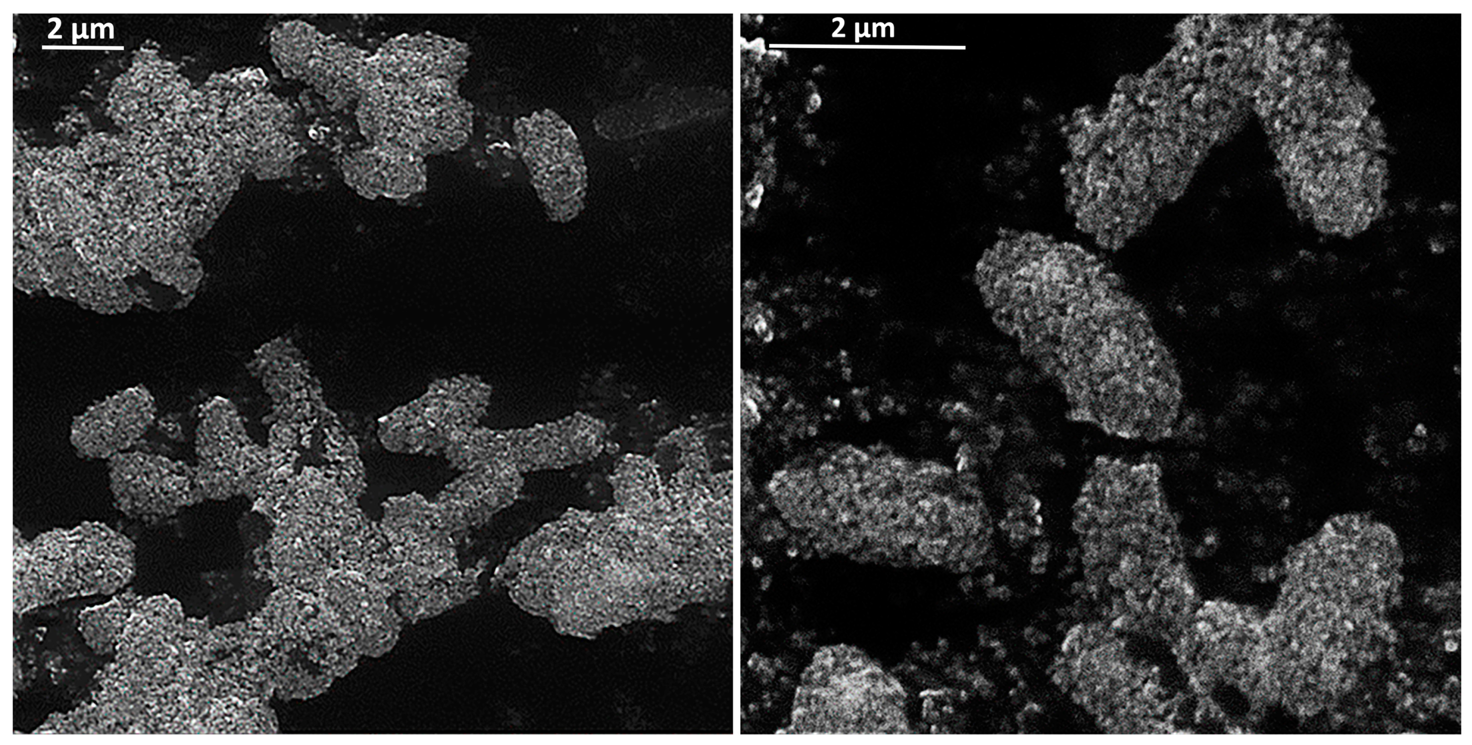 Microorganisms 08 01545 g003 Microorganisms 08 01545 g003