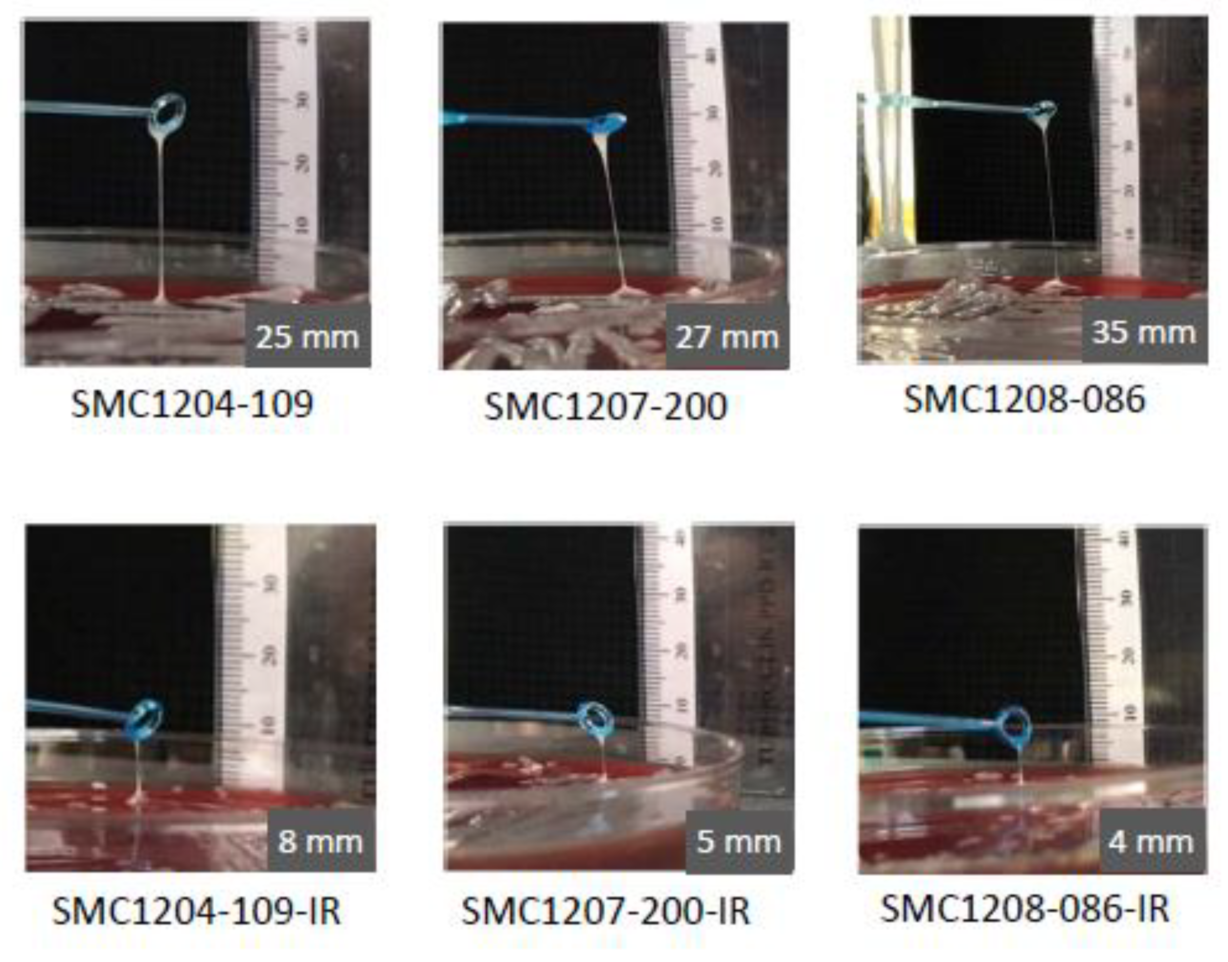 Microorganisms 08 01562 g001