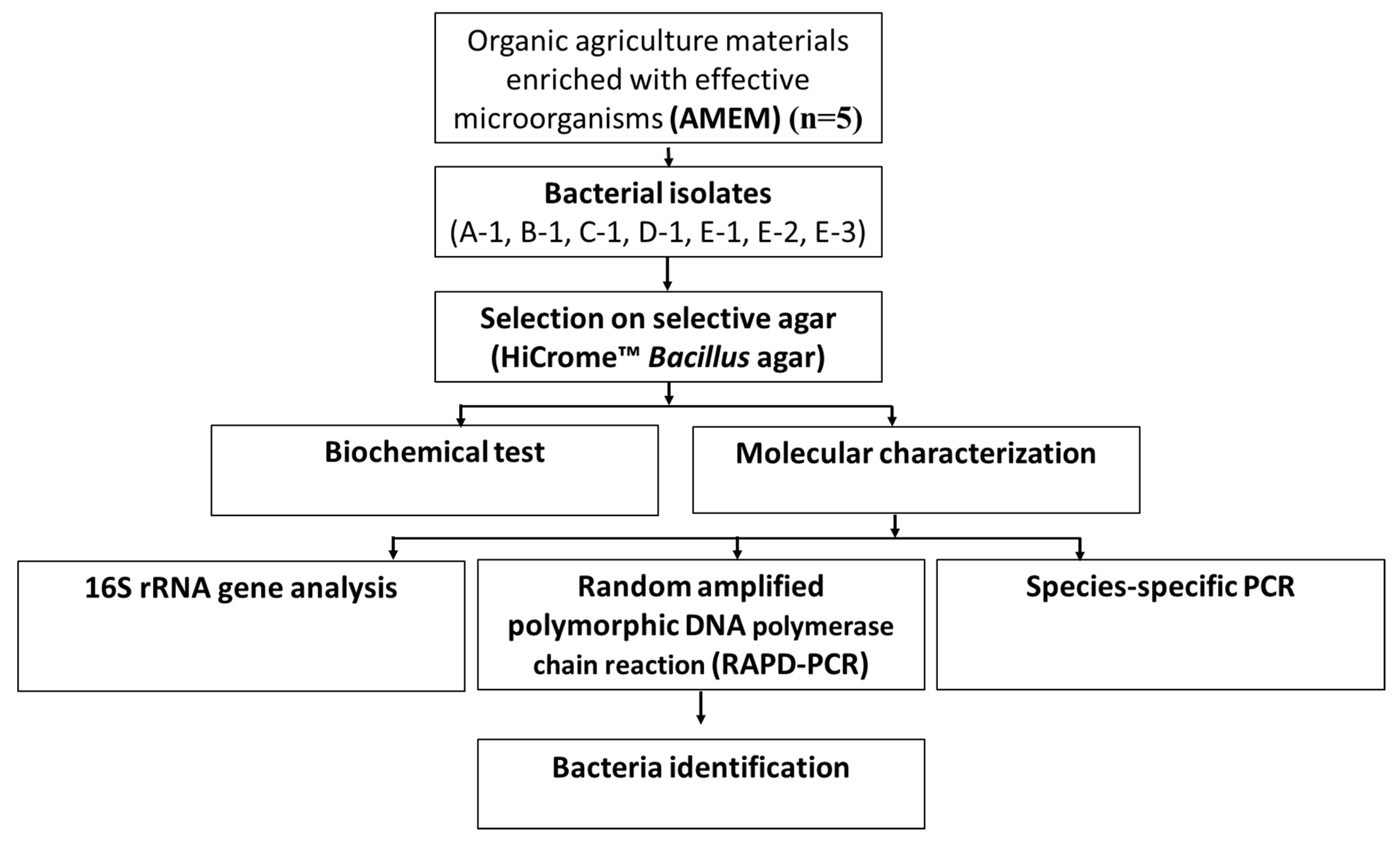 Microorganisms 08 01568 g001