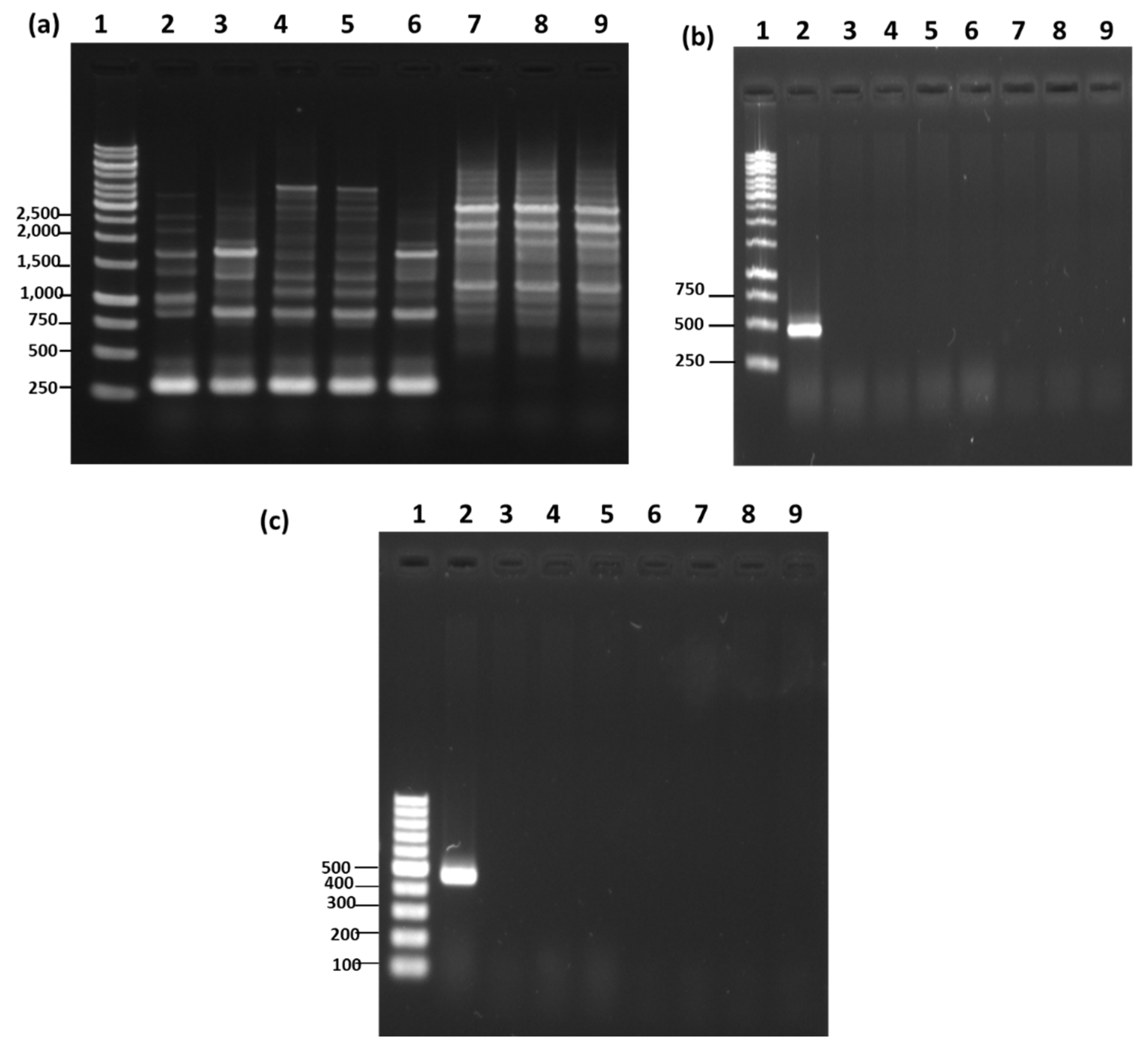 Microorganisms 08 01568 g003