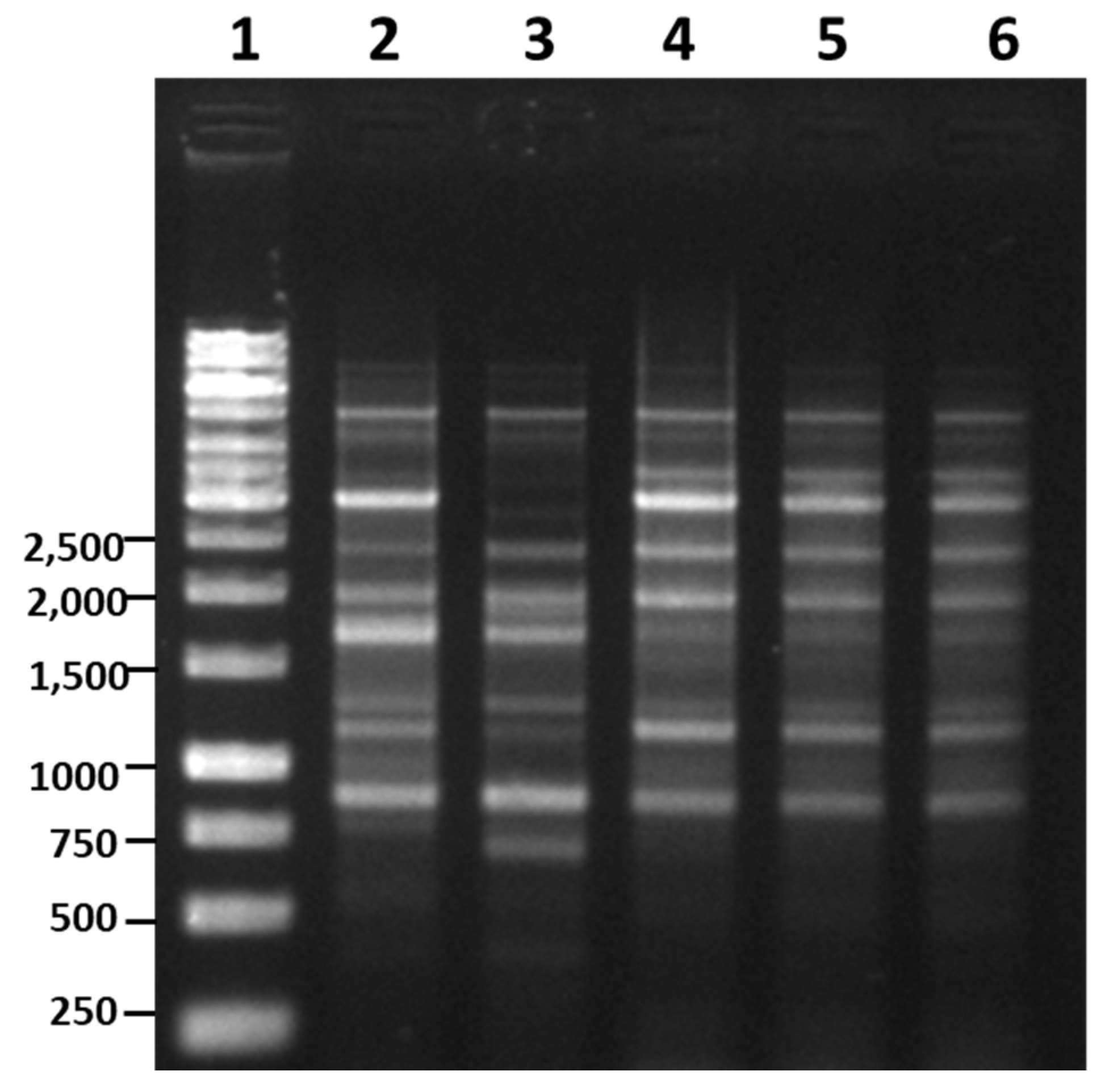 Microorganisms 08 01568 g004
