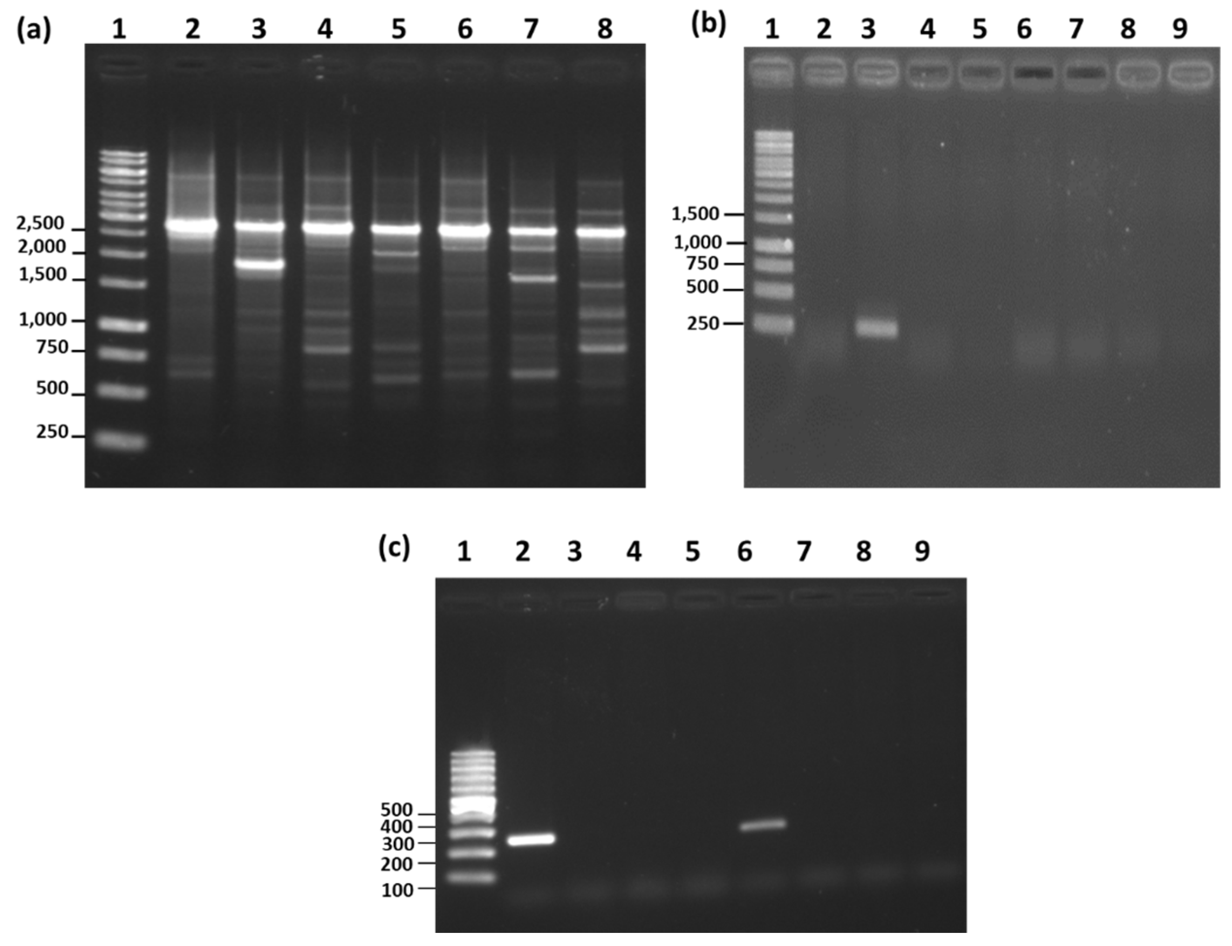 Microorganisms 08 01568 g005