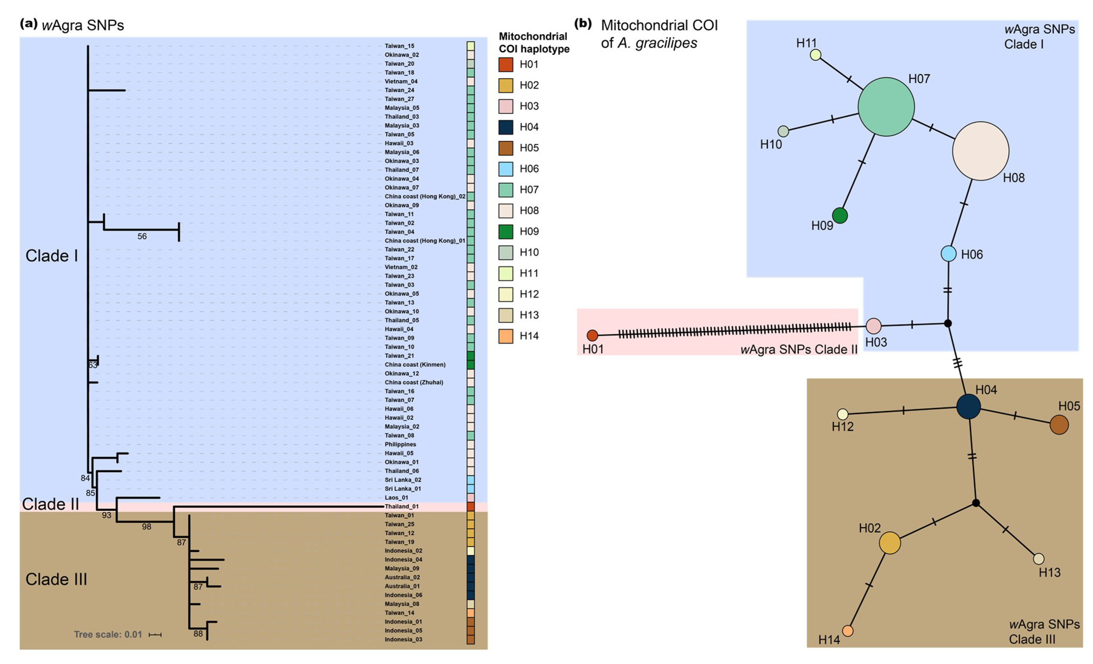 Microorganisms 08 01569 g002