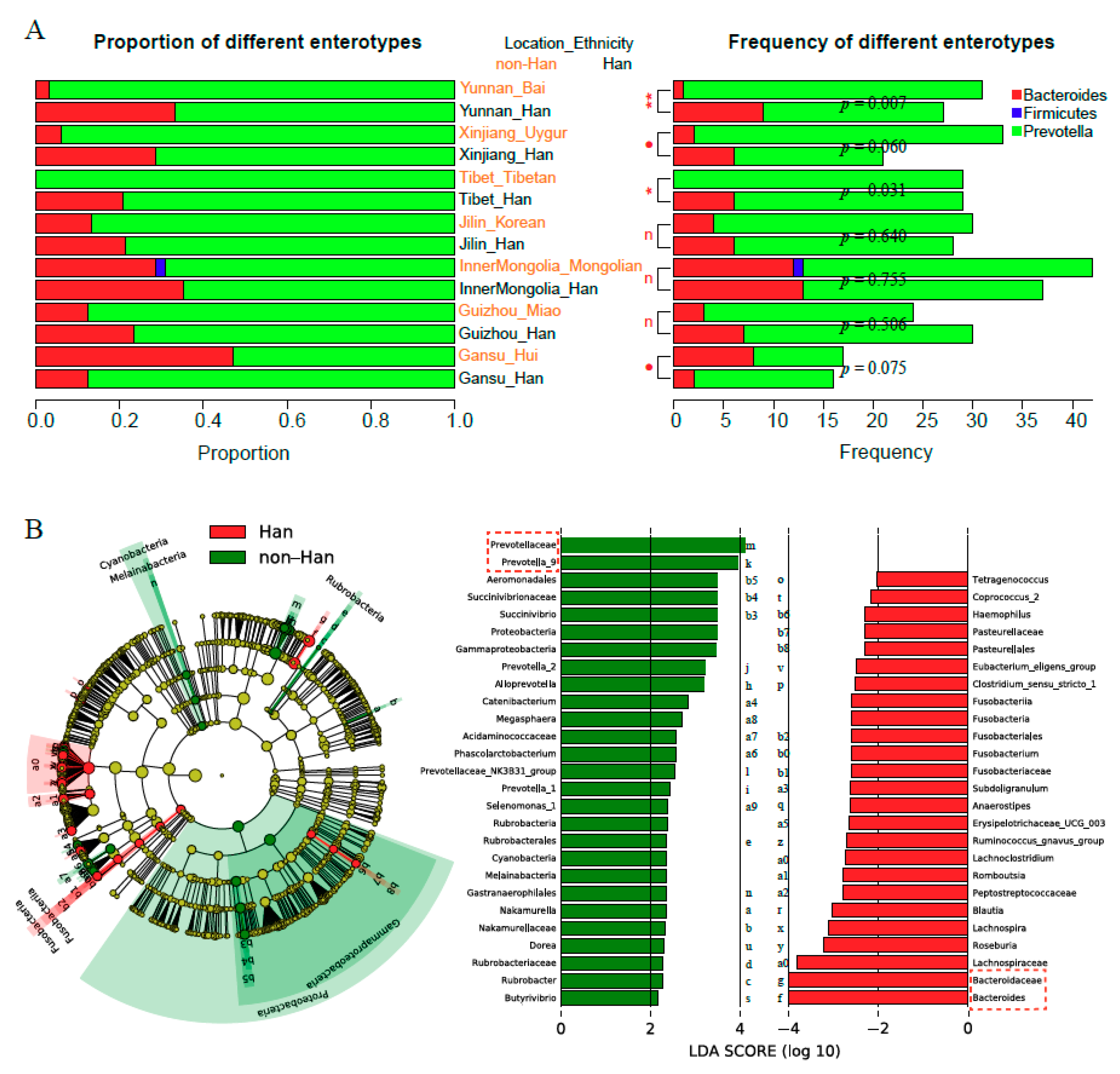 Microorganisms 08 01579 g003