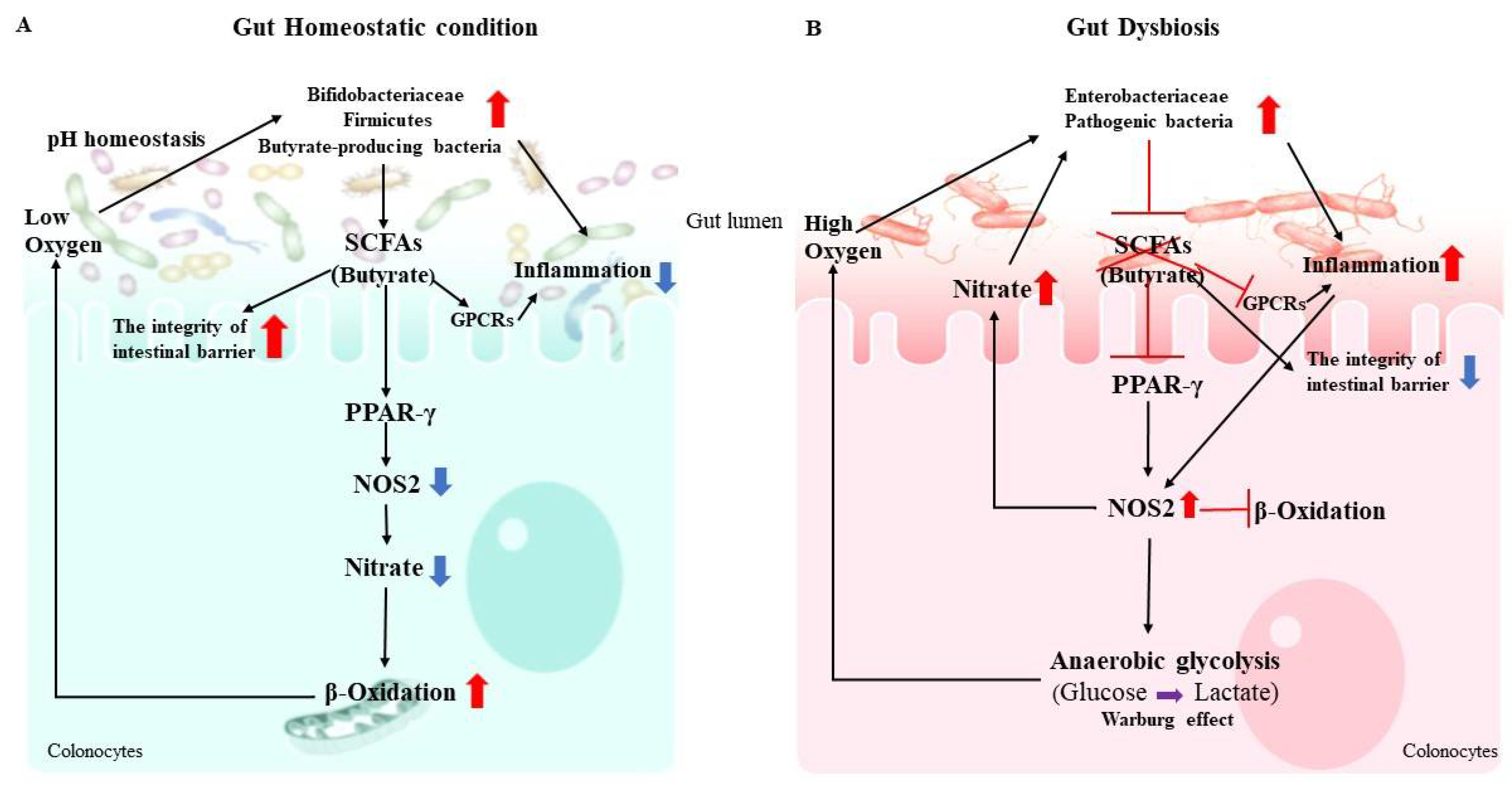 Microorganisms 08 01587 g001