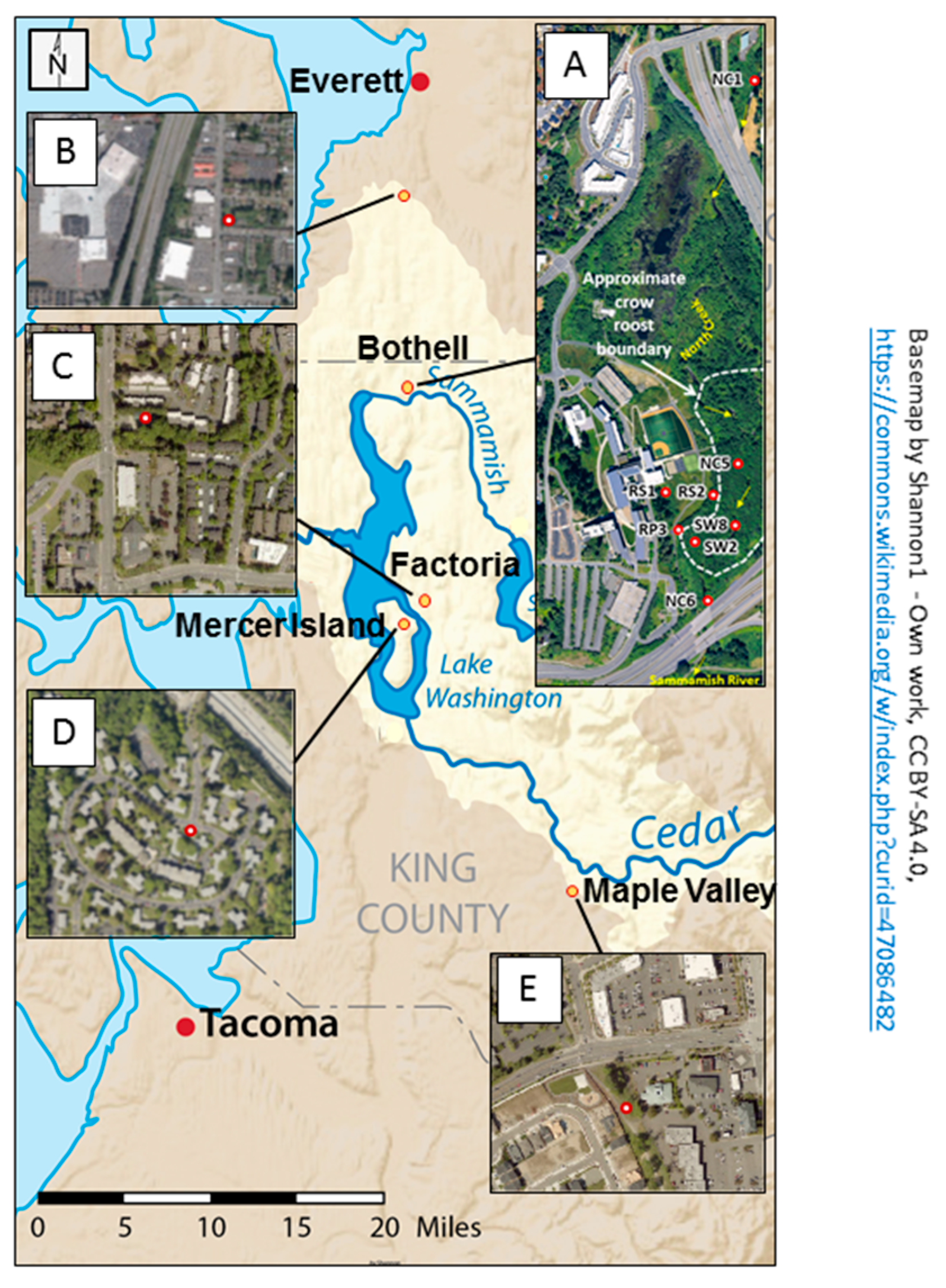 Microorganisms 08 01595 g001 Microorganisms 08 01595 g001