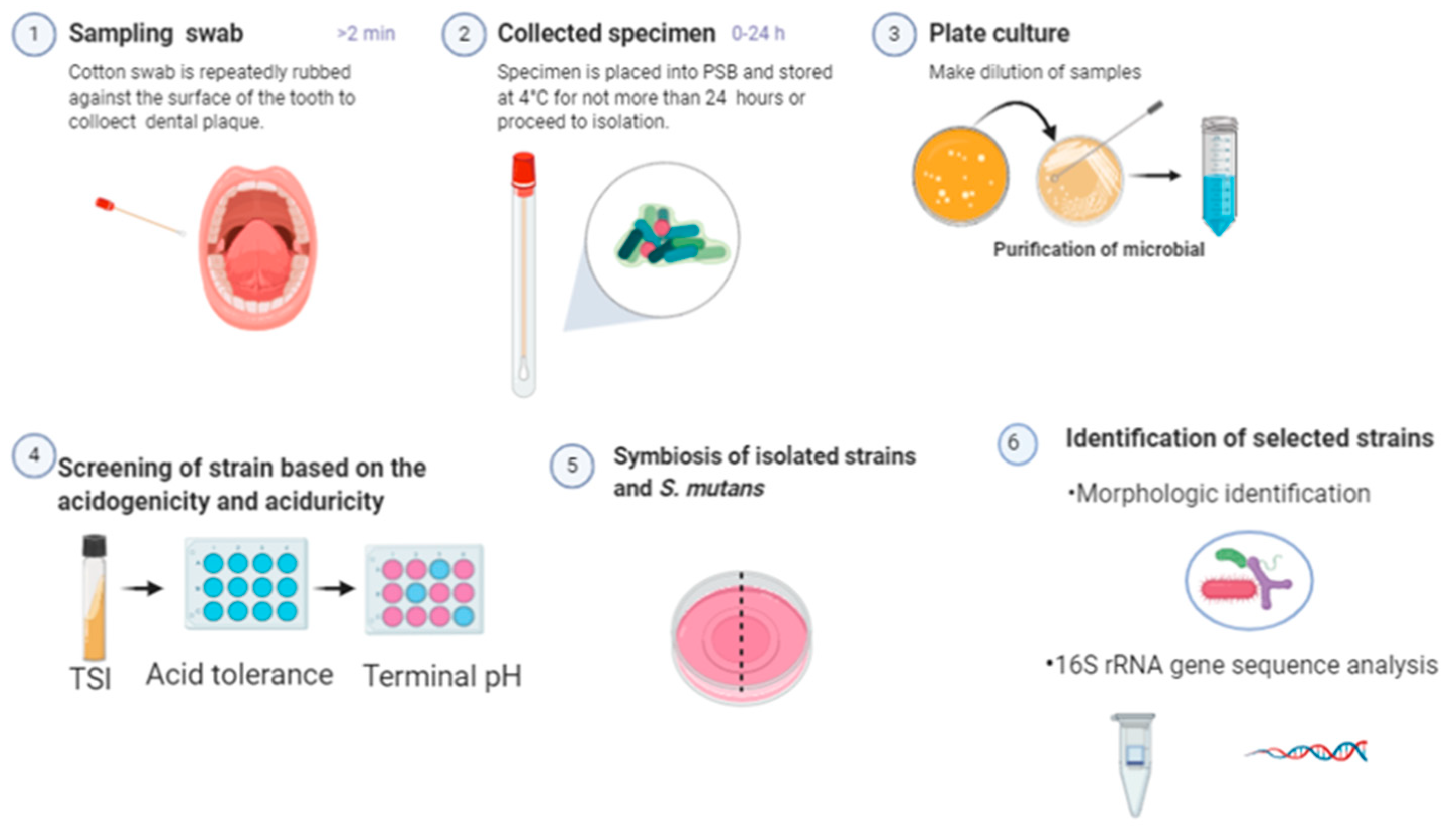 Microorganisms 08 01596 g001